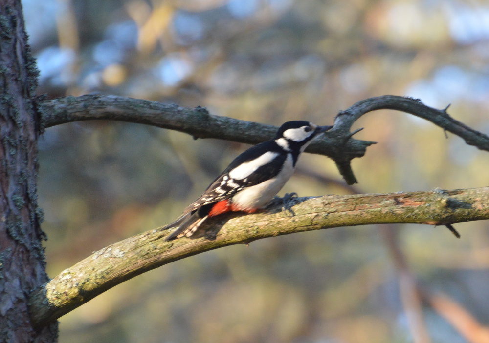 Valokuvaaja: Elisabet Varonen