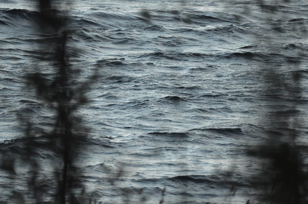 Valokuvaaja: Jouko Varonen