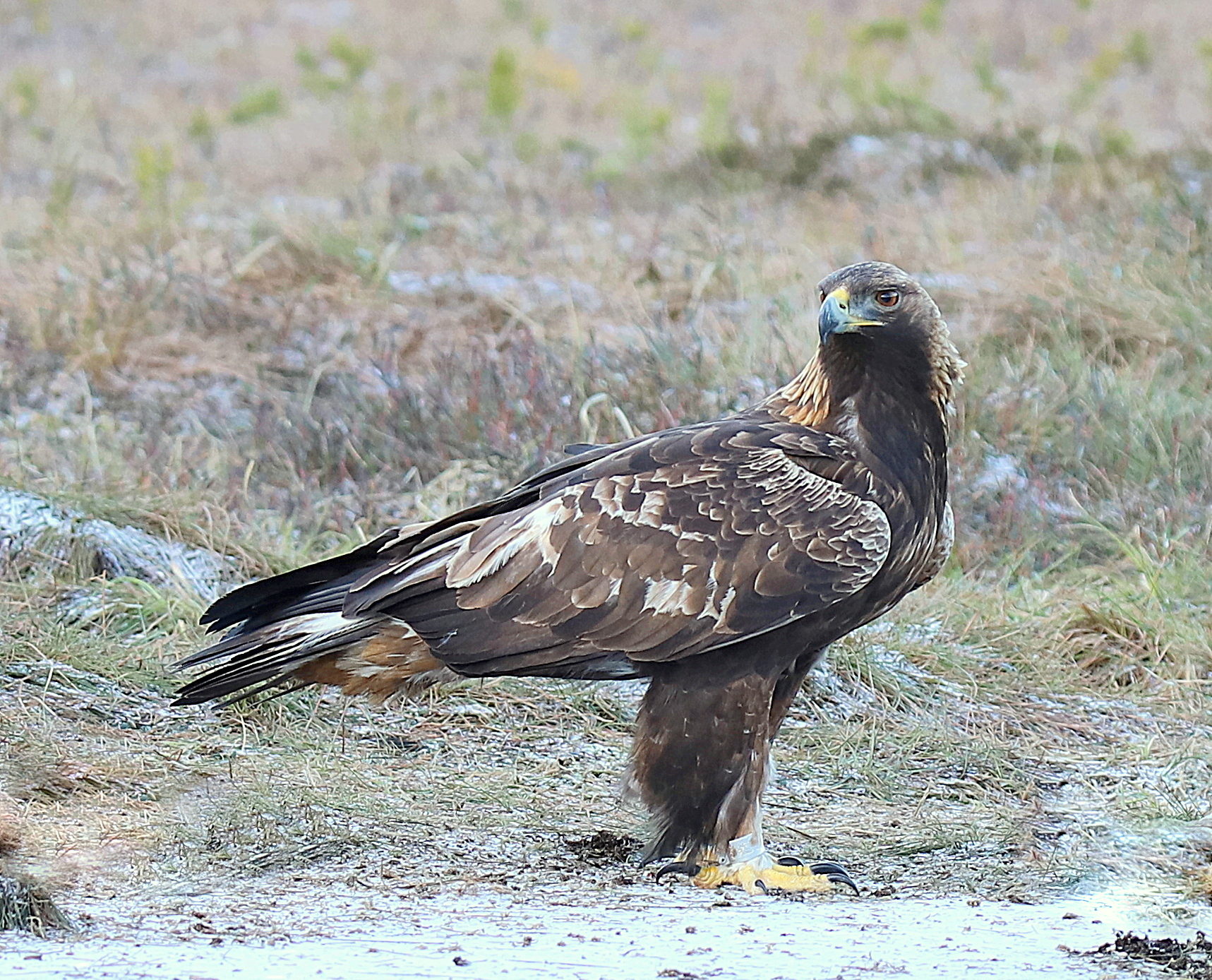 Valokuvaaja: sirpa jyske