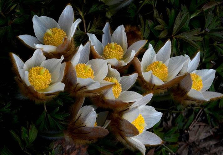 Valokuvaaja: Jouko Varonen