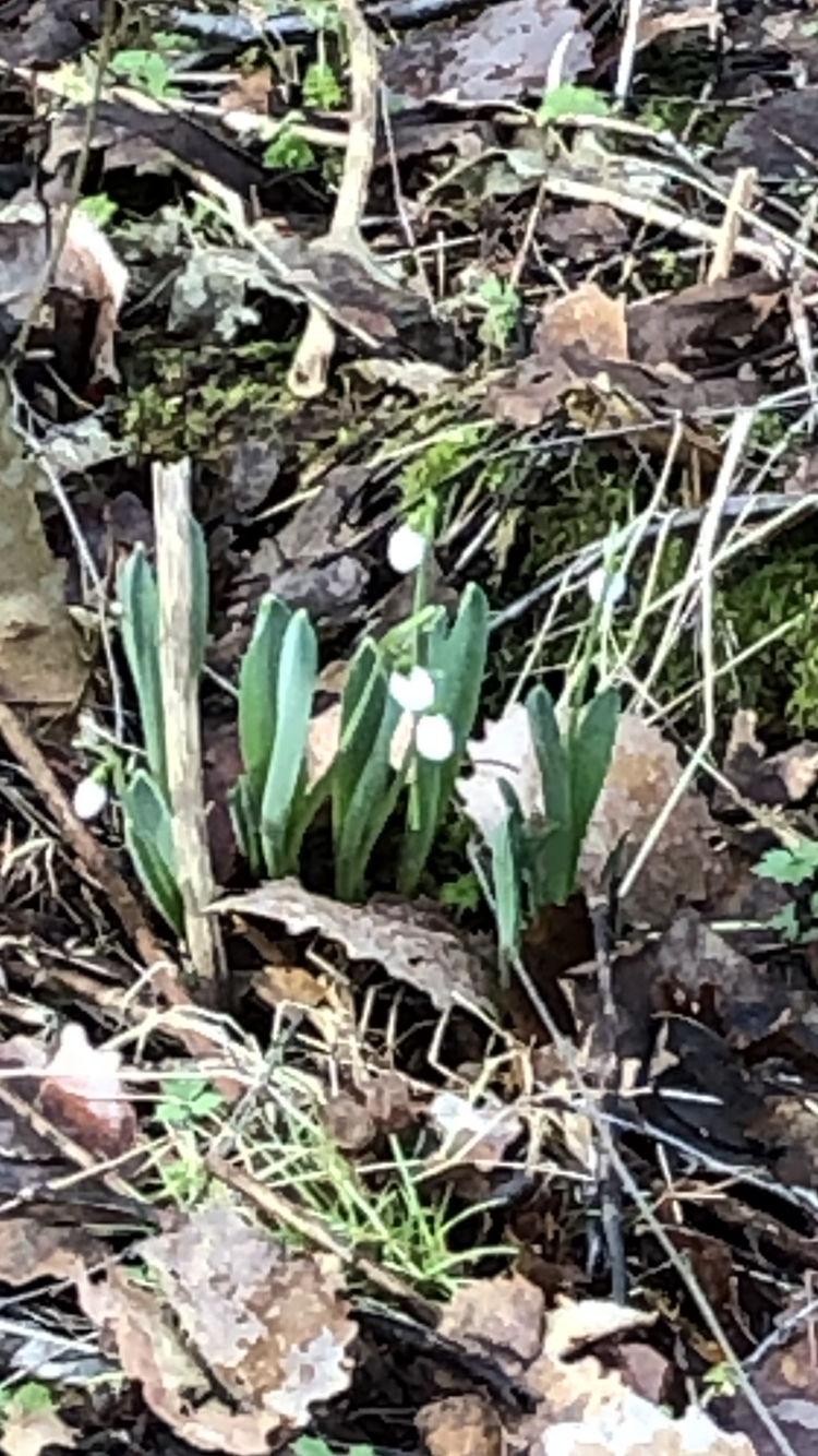 Valokuvaaja: Sari Andsten