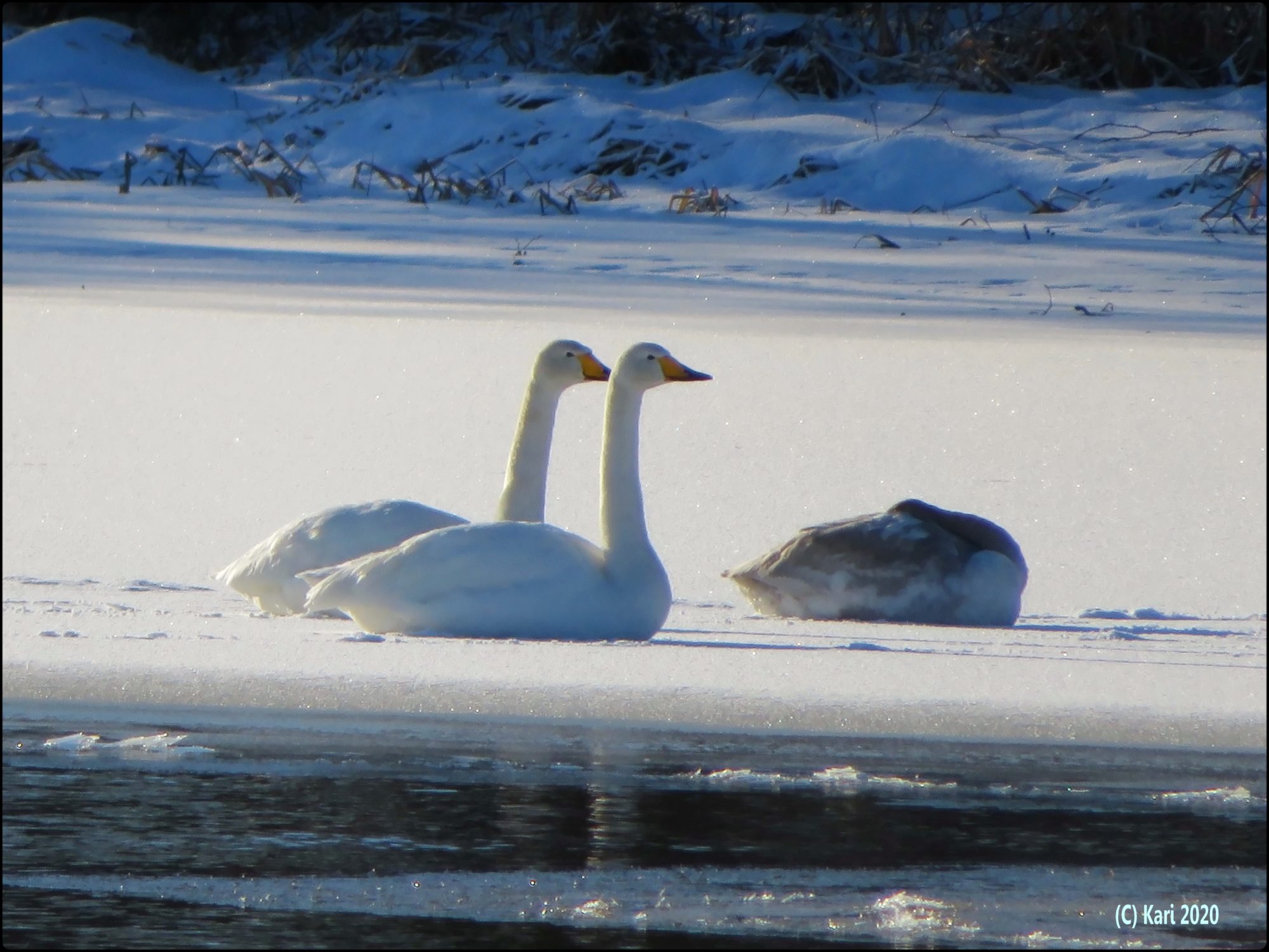 Valokuvaaja: Kari Saarinen