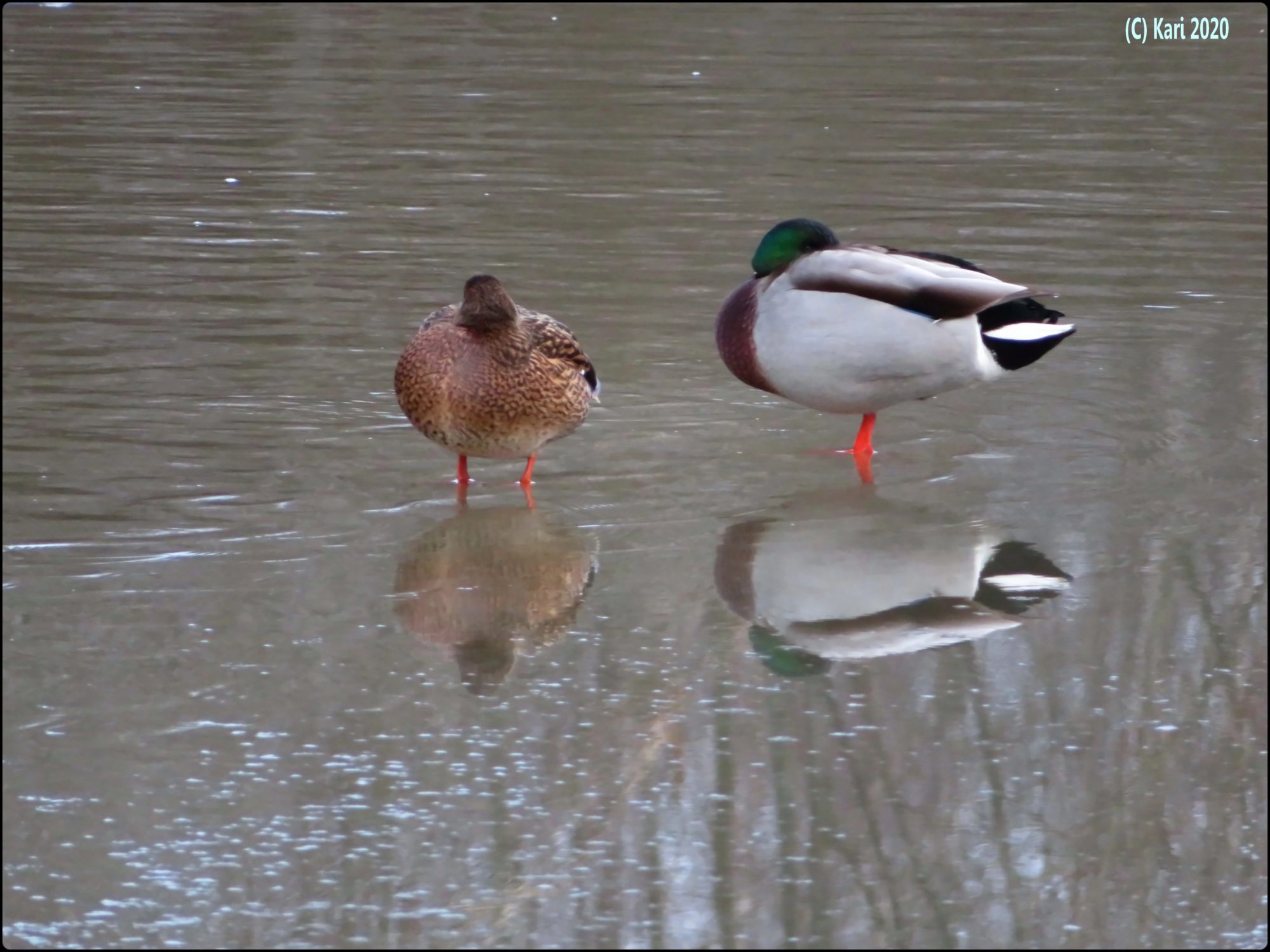 Valokuvaaja: Kari Saarinen