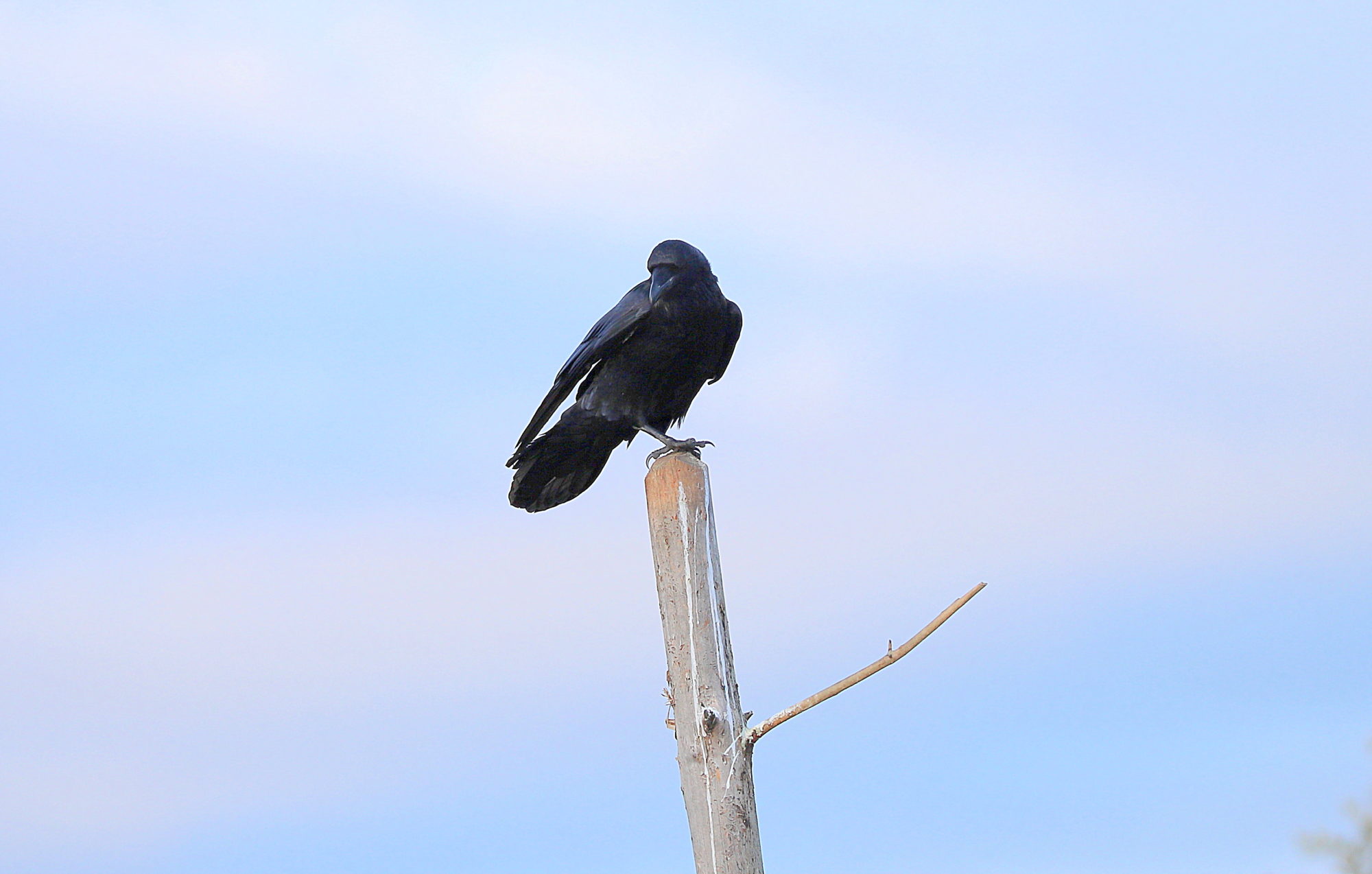 Valokuvaaja: sirpa jyske