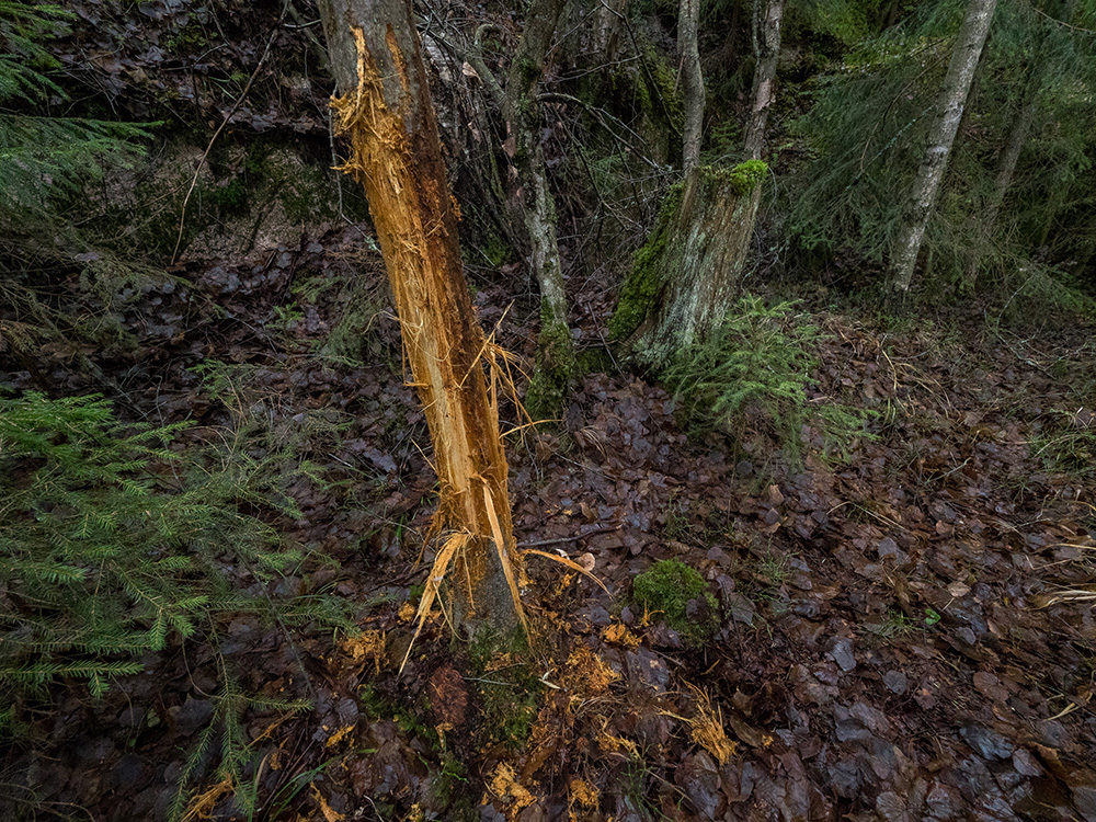 Valokuvaaja: Visa hietalahti