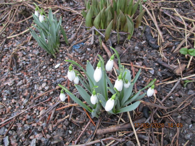 Valokuvaaja: Marja Linnanoja