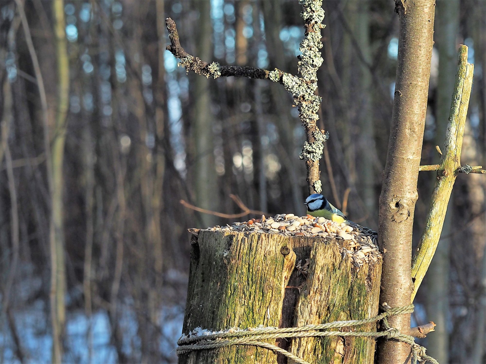 Valokuvaaja: Sirkka Karppinen