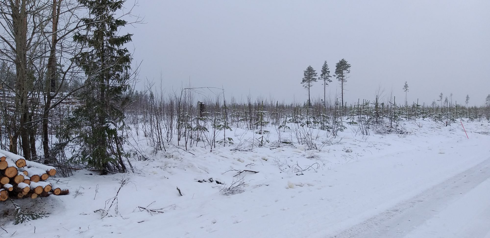 Valokuvaaja: Katja Toivanen