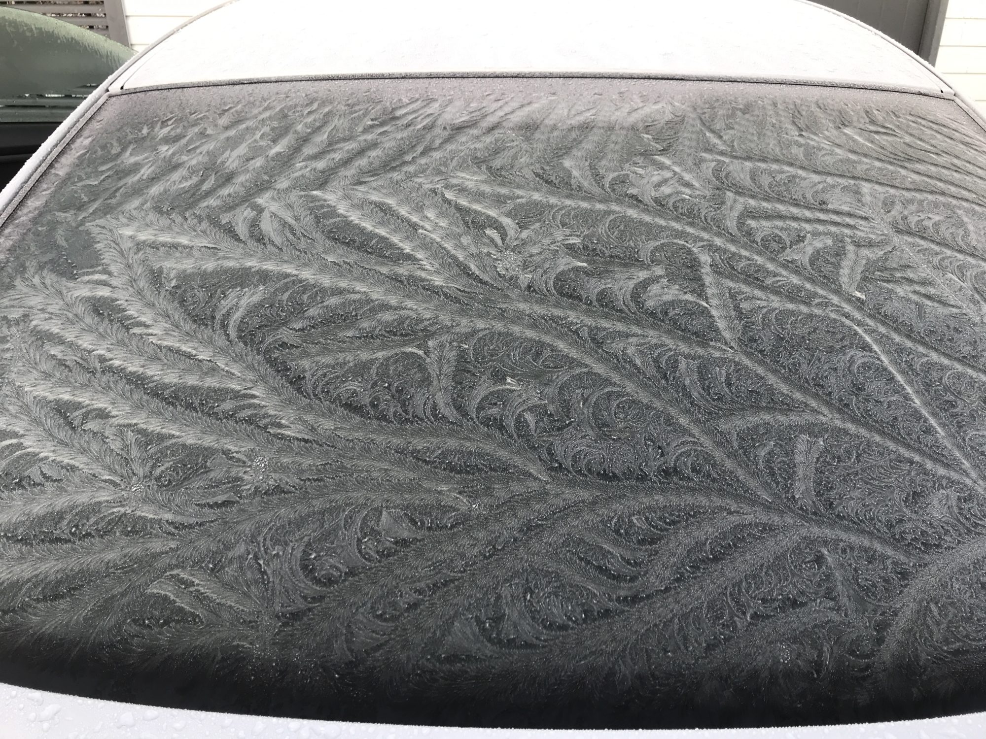 Valokuvaaja: Samuli Nurminen