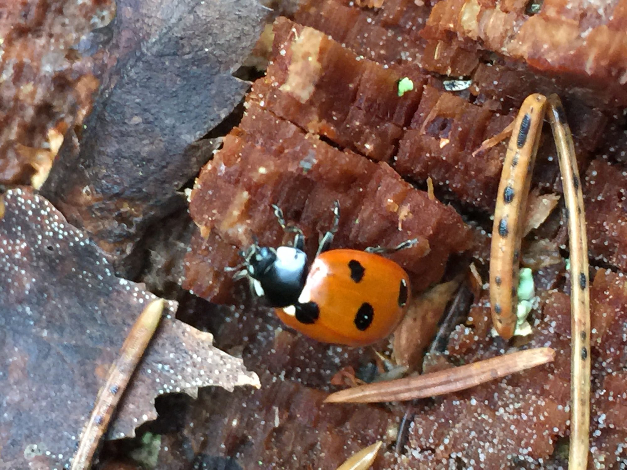 Valokuvaaja: Markku Ranta-Eilola