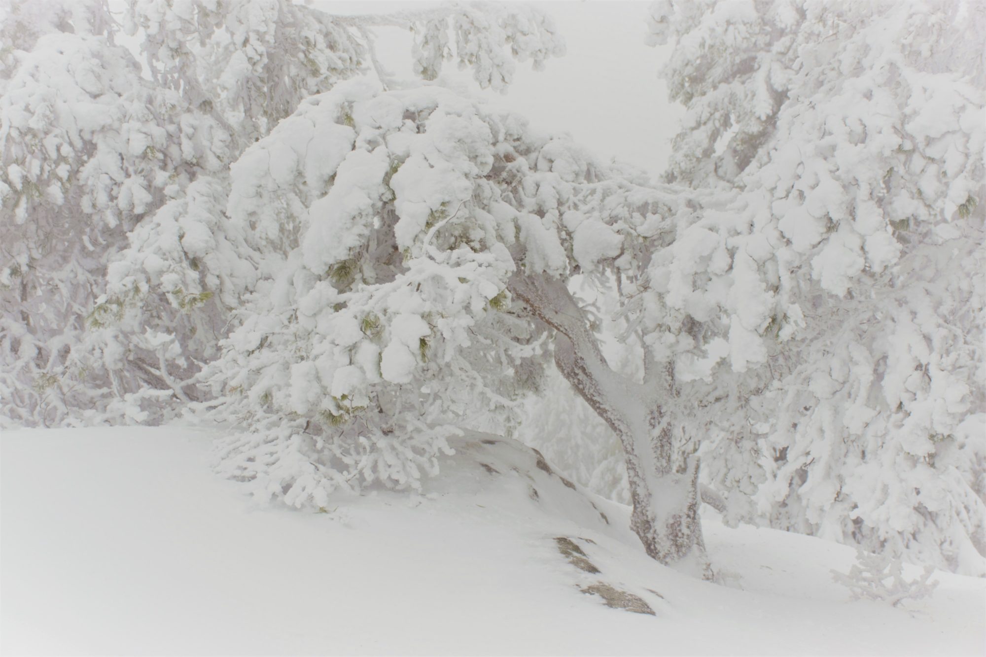 Valokuvaaja: Leena Rissanen