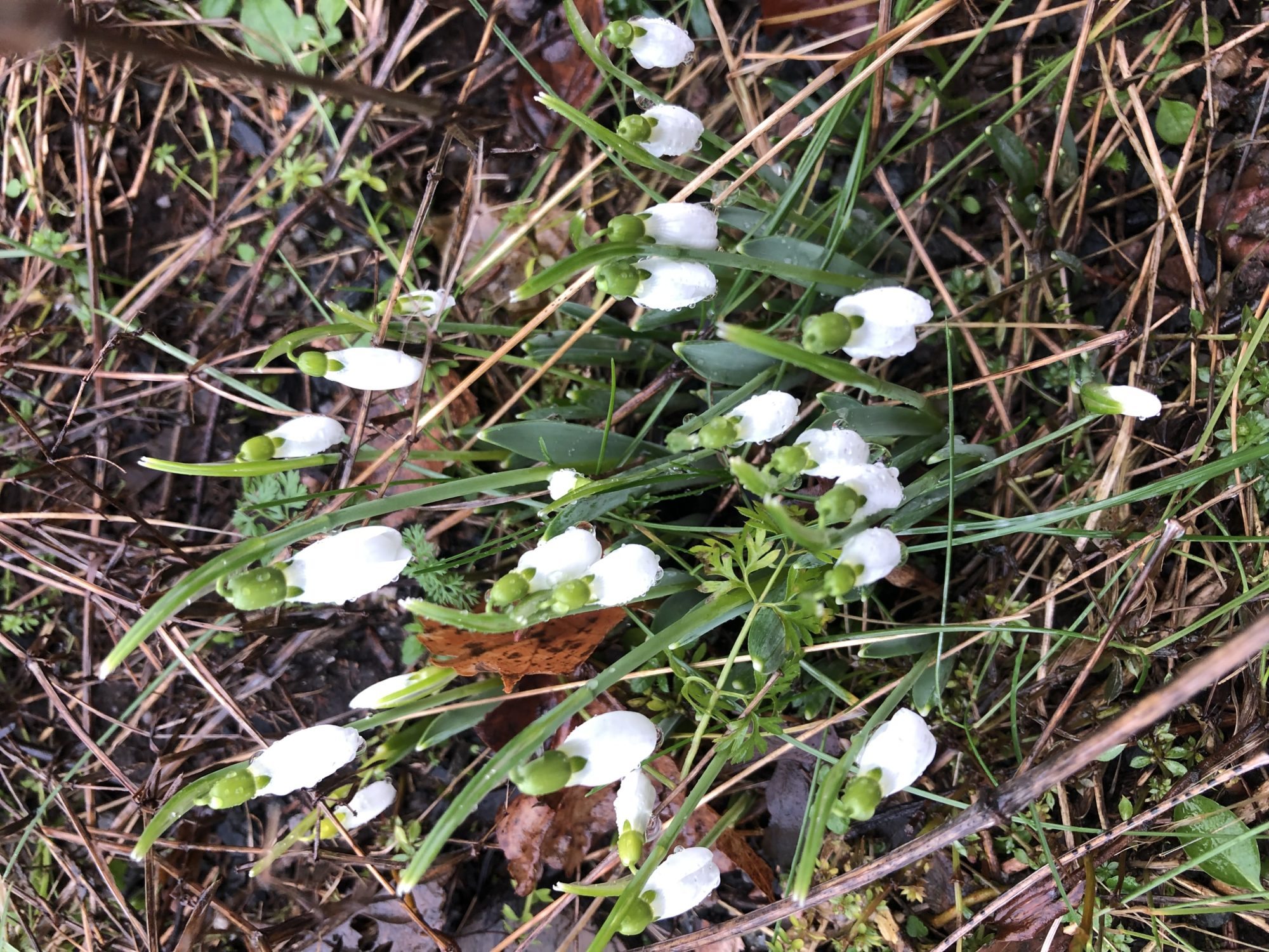 Valokuvaaja: Tove Janitzky