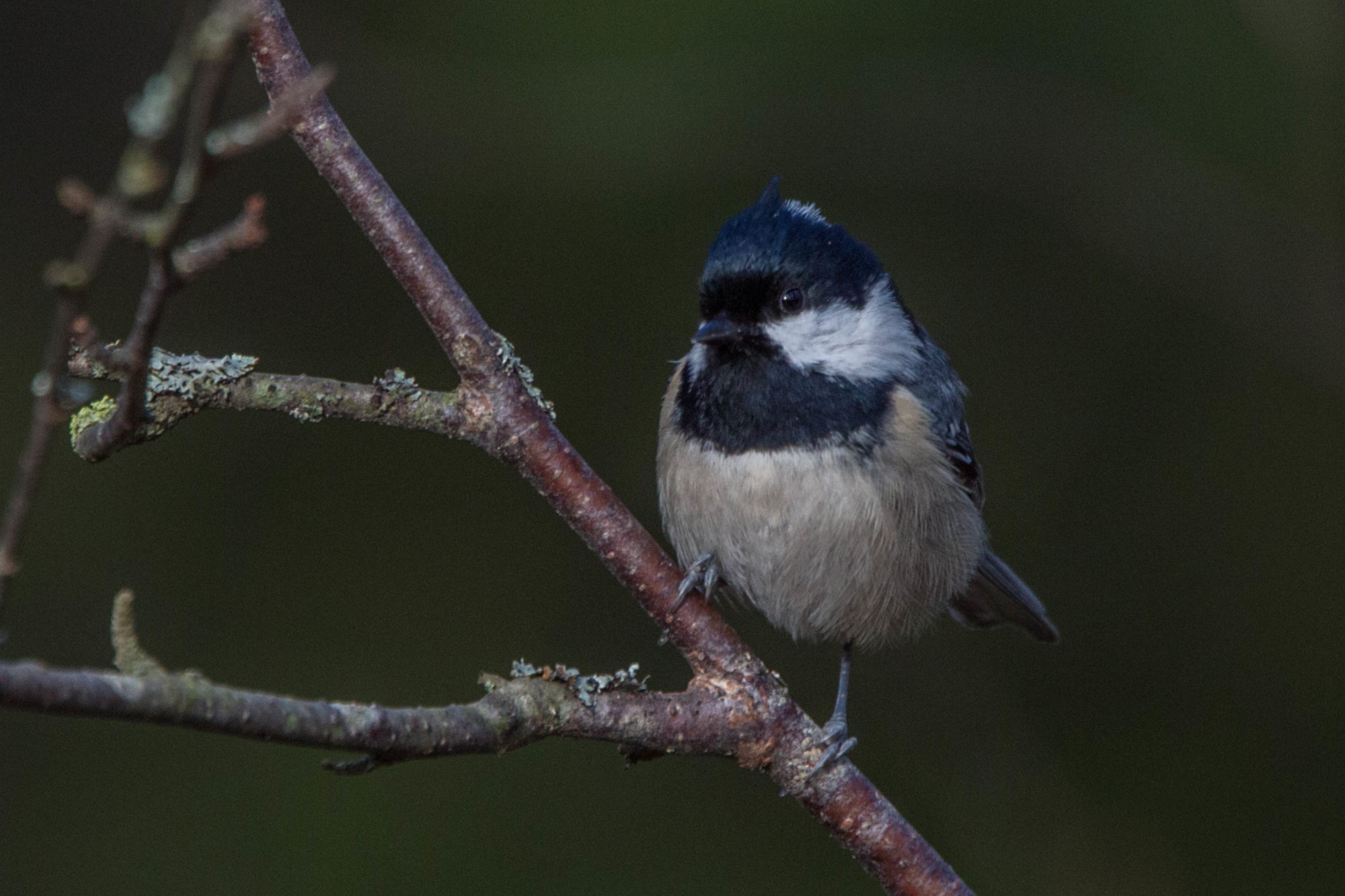 Valokuvaaja: Markku Salonen