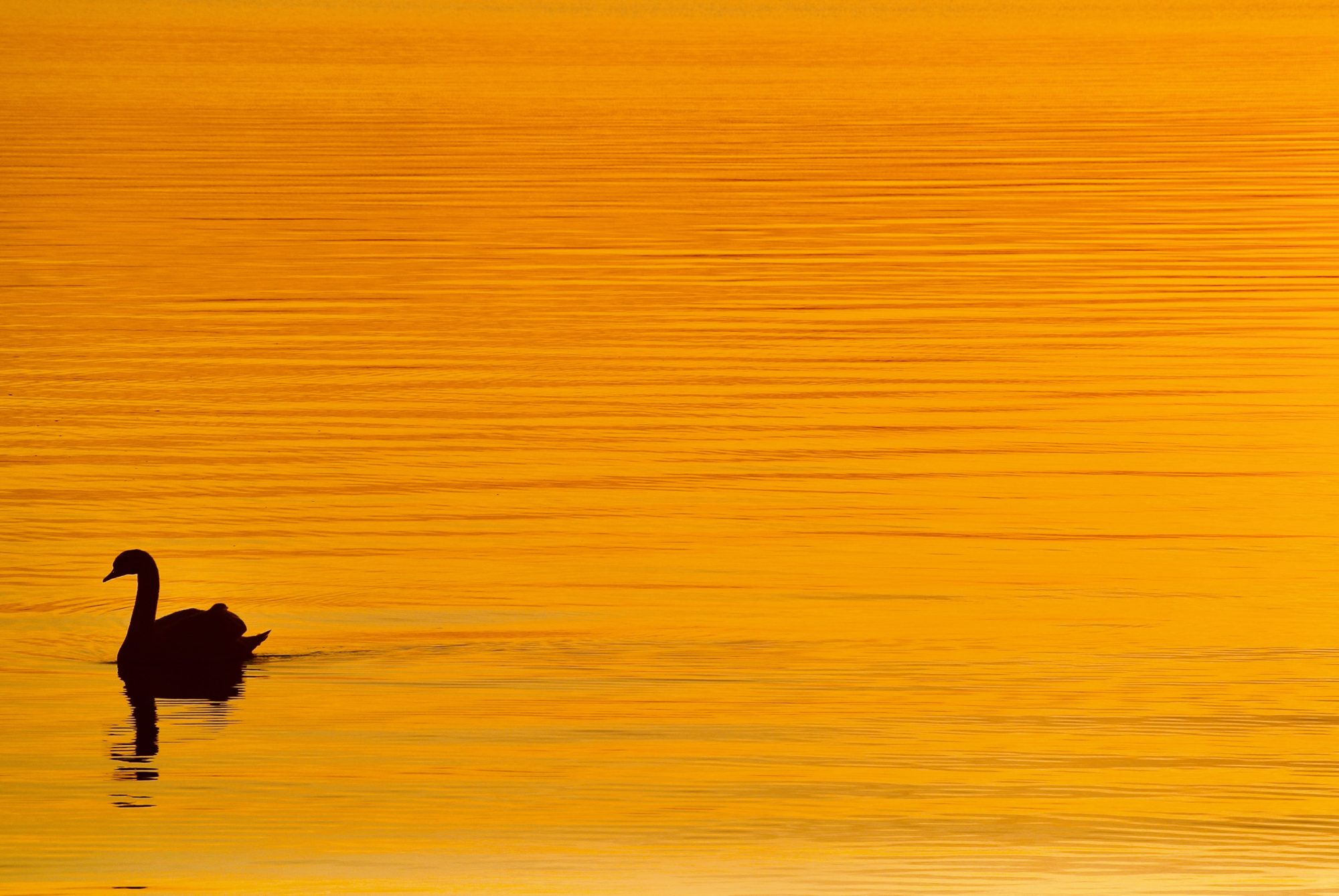 Valokuvaaja: Pauli Sarsama Valokuvaaja: Pauli Sarsama