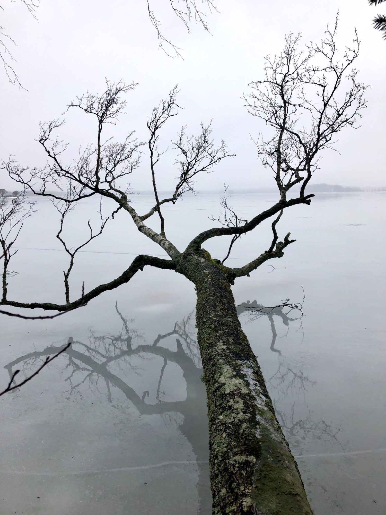 Valokuvaaja: Pirjo Kallio