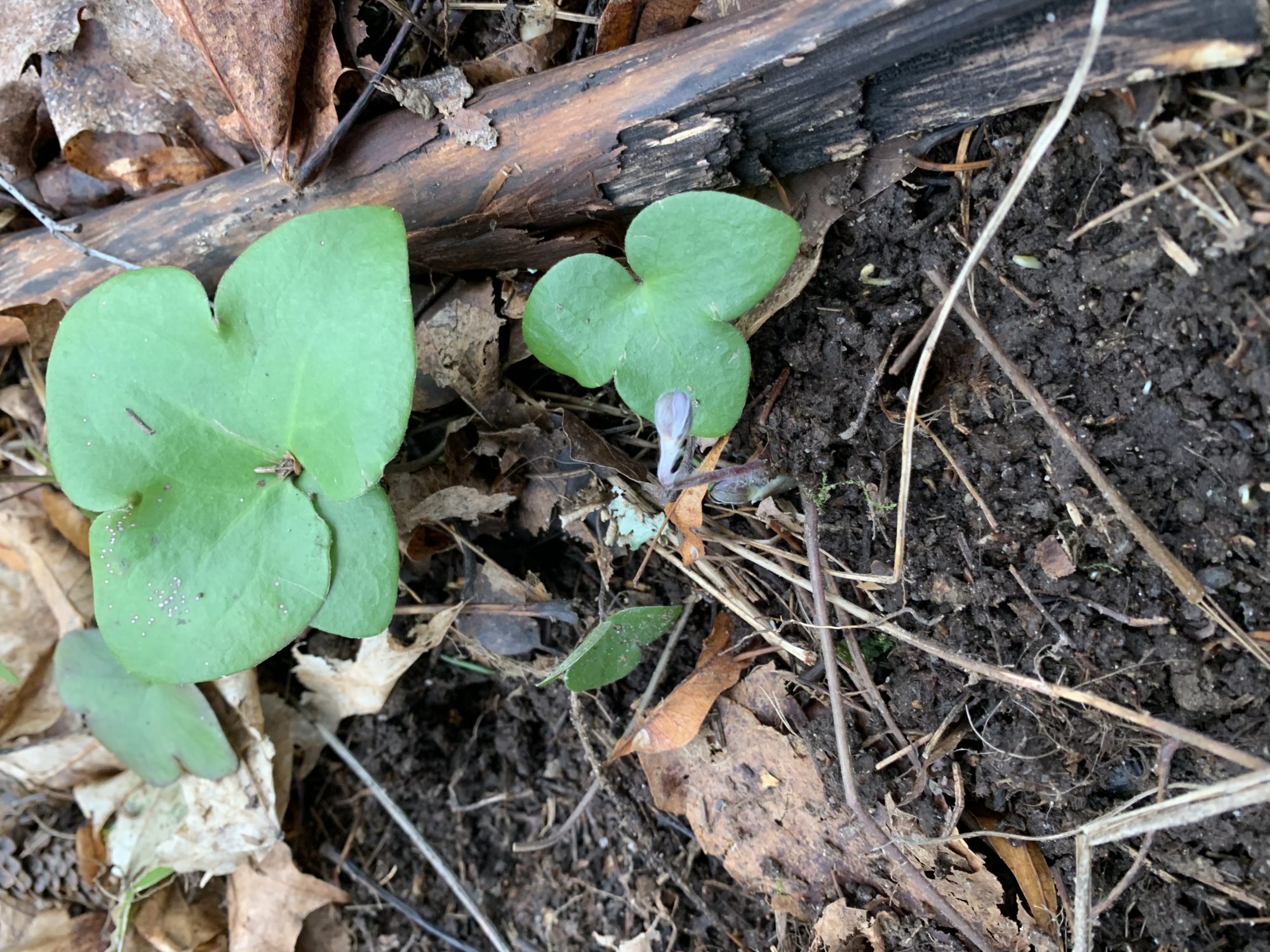 Valokuvaaja: Leena Ketonen