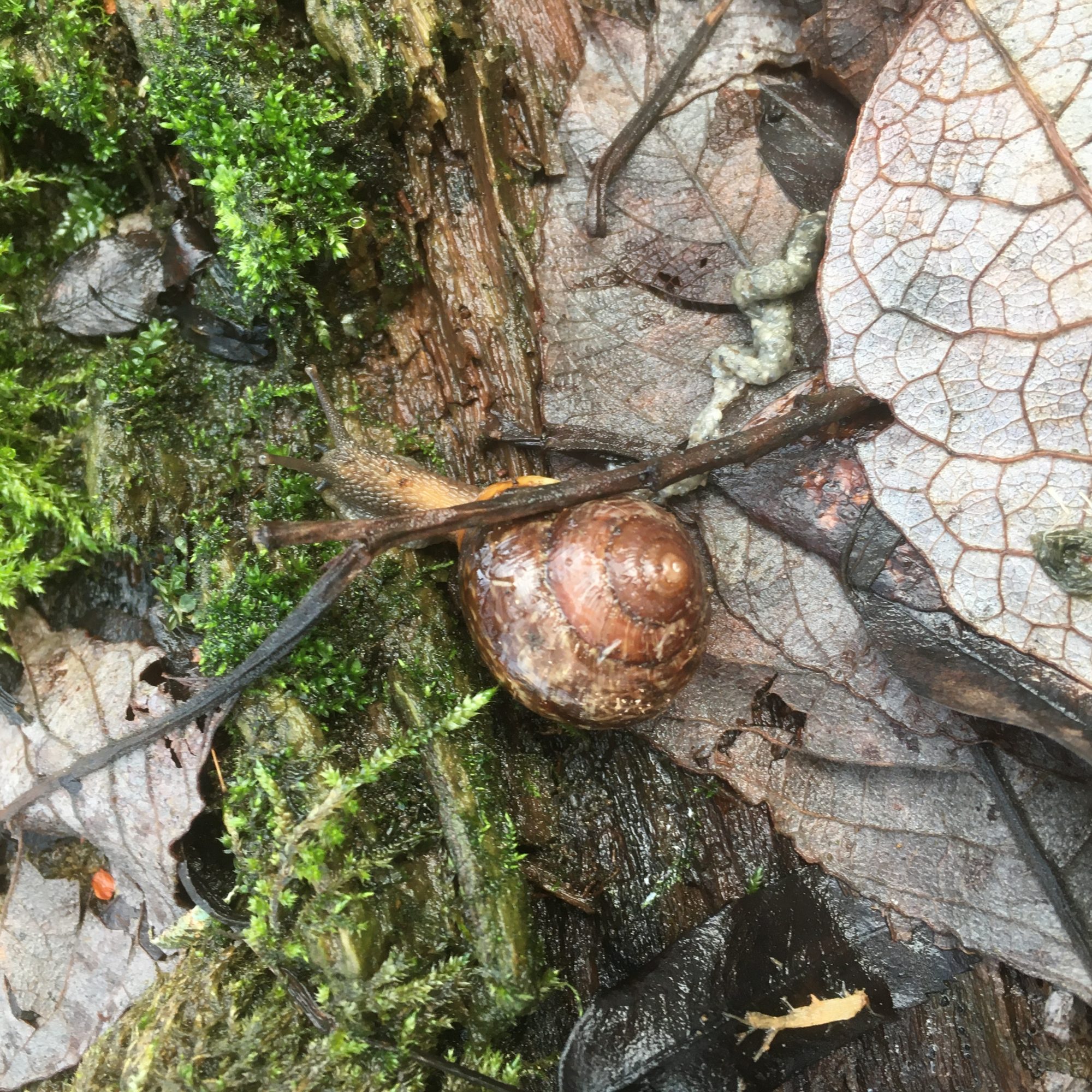 Valokuvaaja: Hannu Tuominen