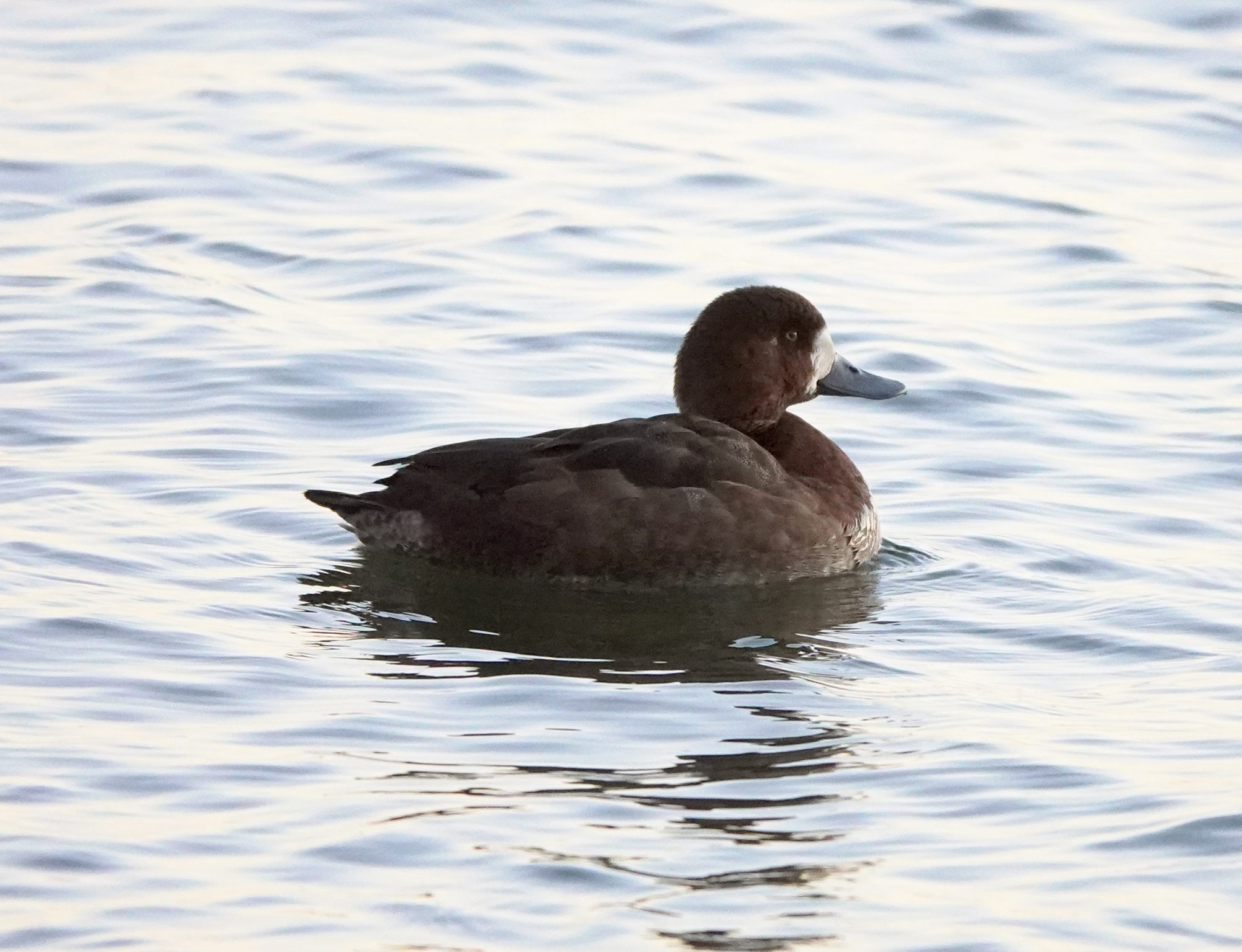 Valokuvaaja: Minna Mäkipää