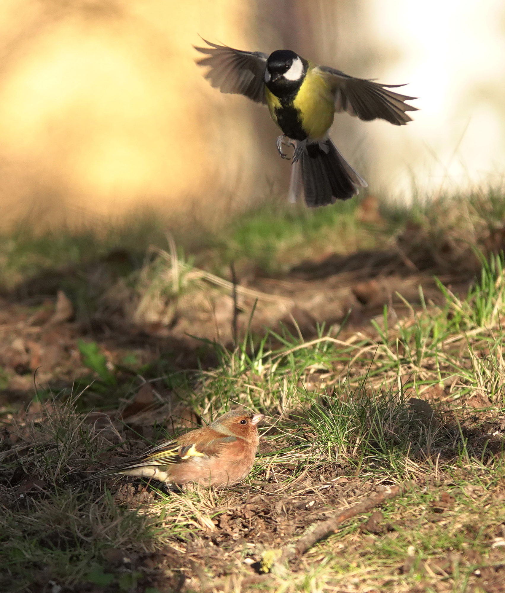 Valokuvaaja: Minna Mäkipää