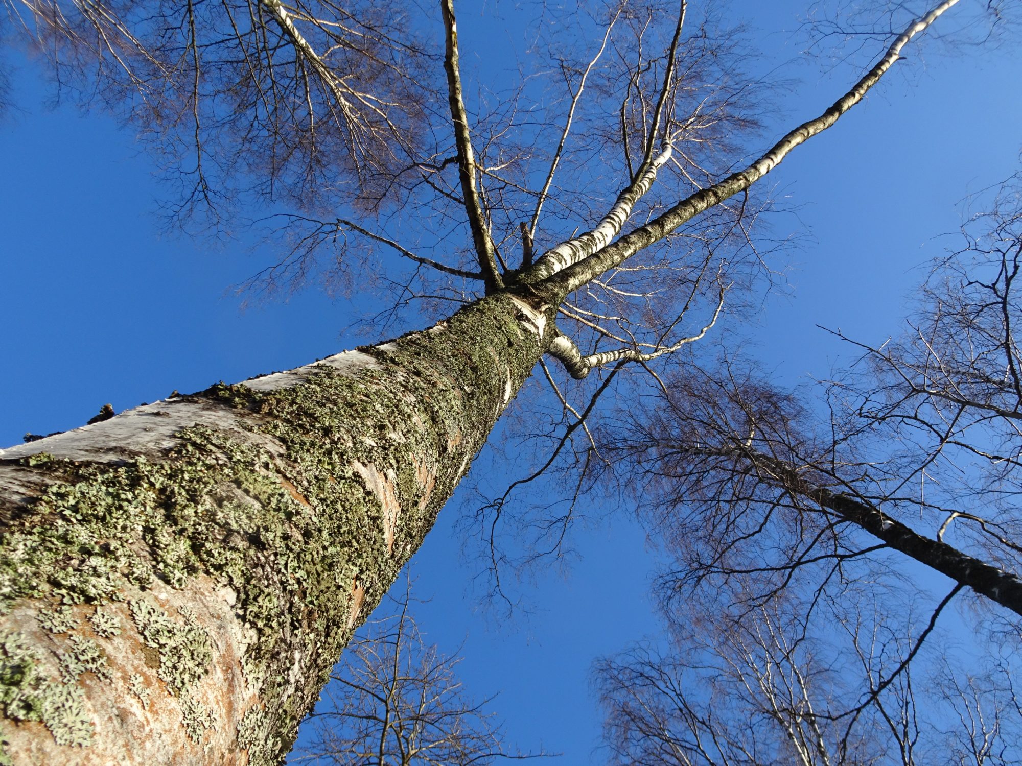 Valokuvaaja: Irja Lehtinen