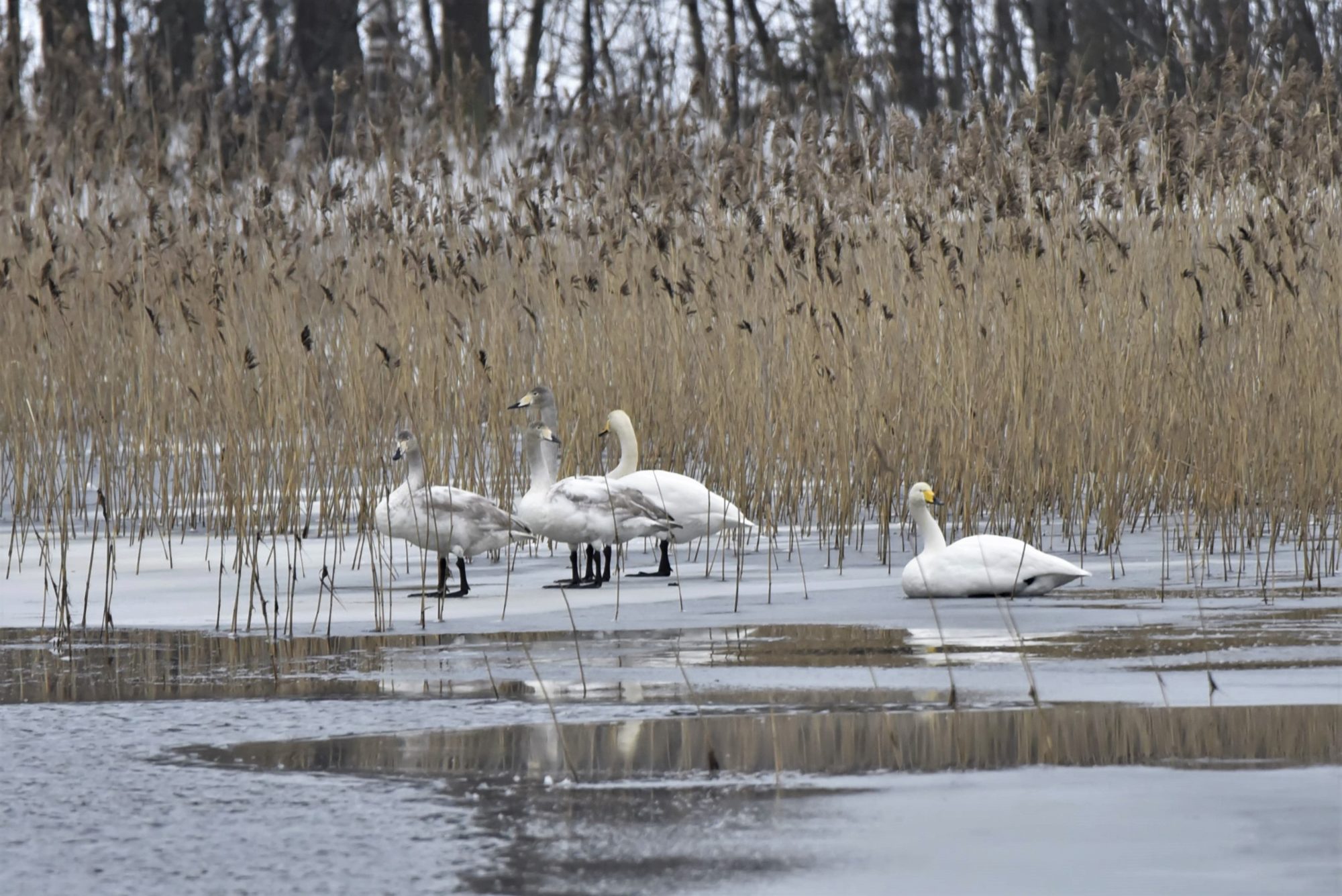 Valokuvaaja: Maarit Siitonen