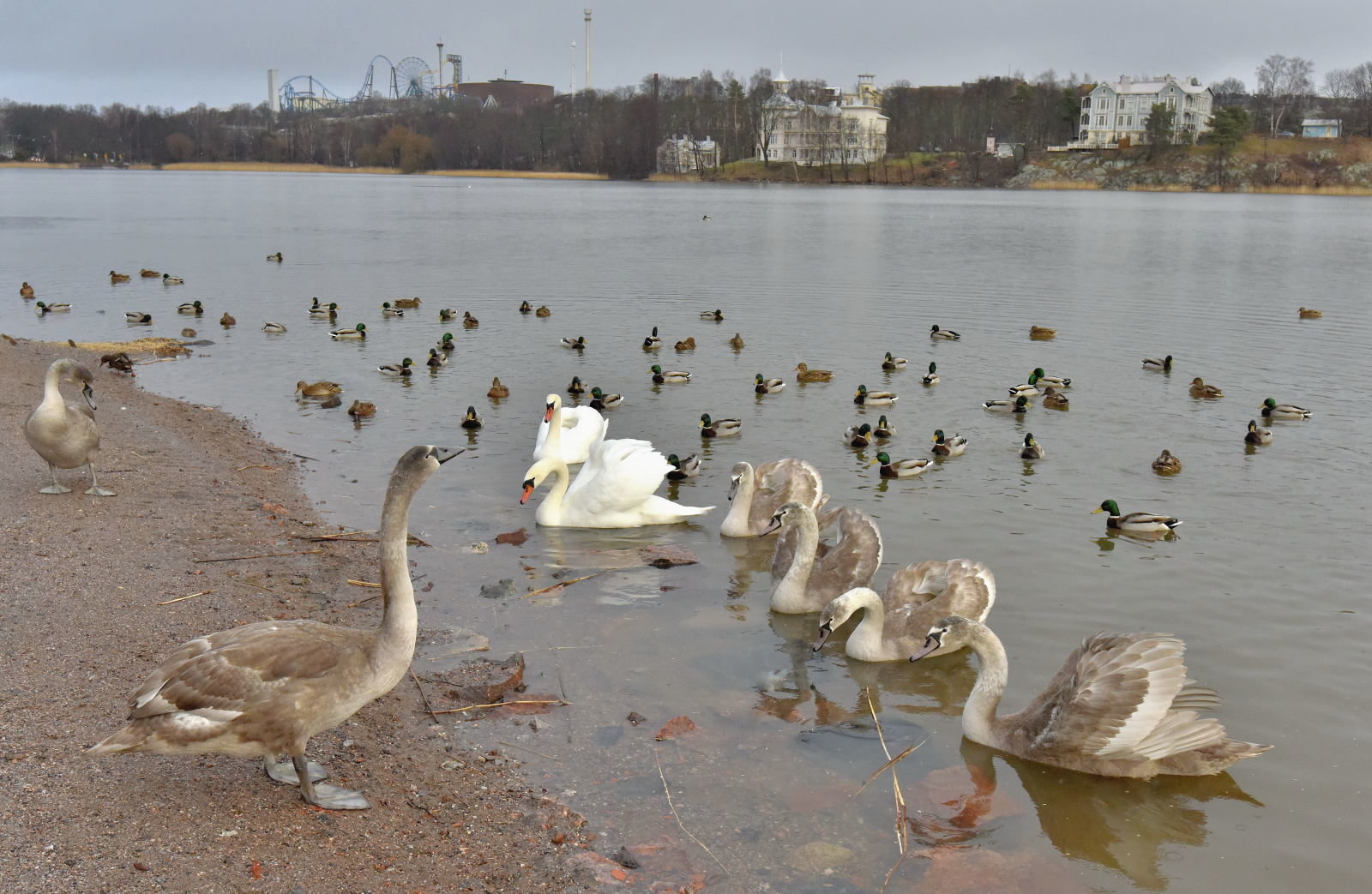 Valokuvaaja: Reijo Juurinen