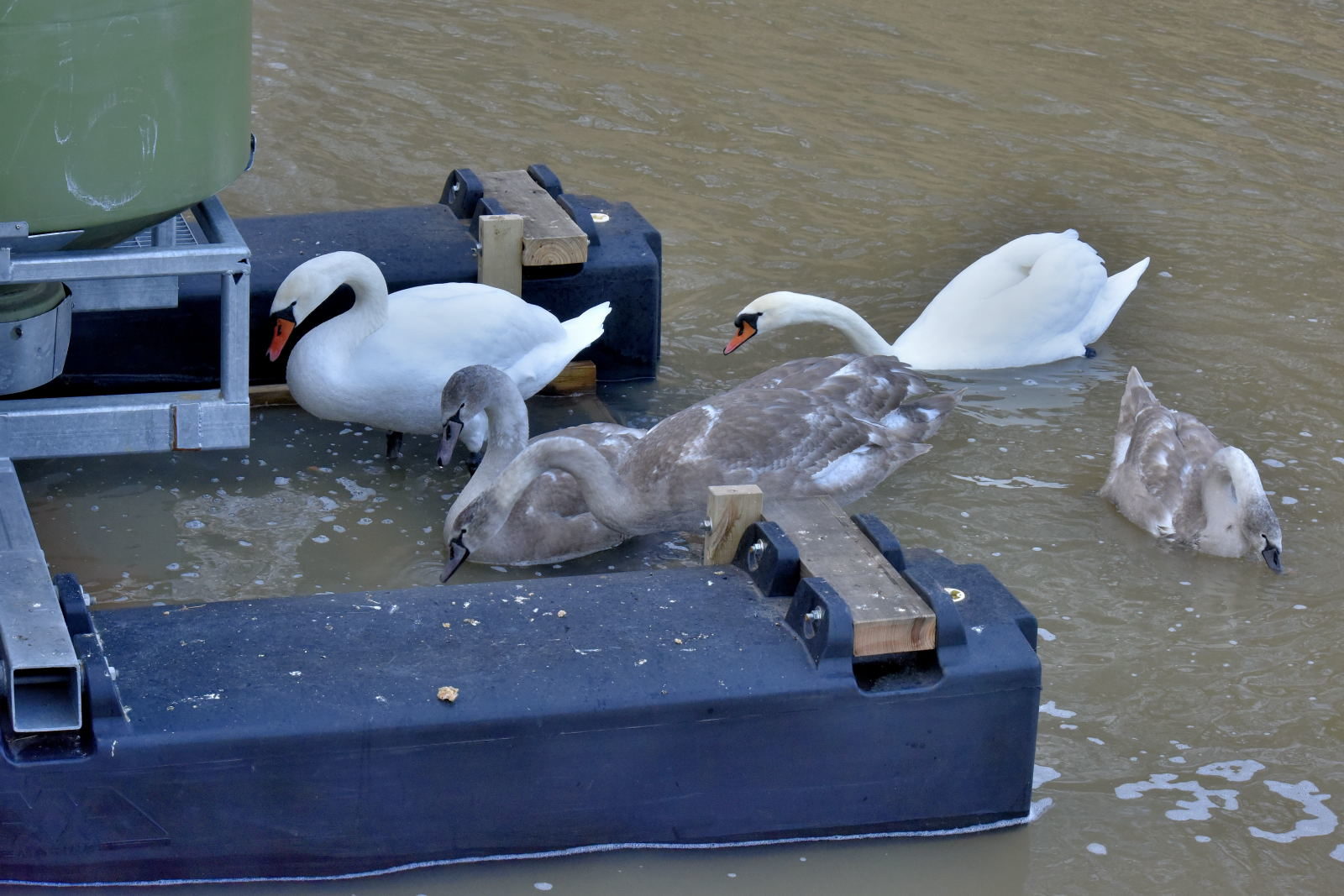 Valokuvaaja: Reijo Juurinen