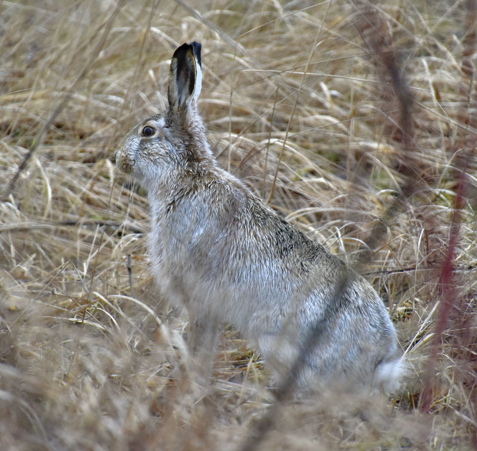 Valokuvaaja: Reijo Juurinen