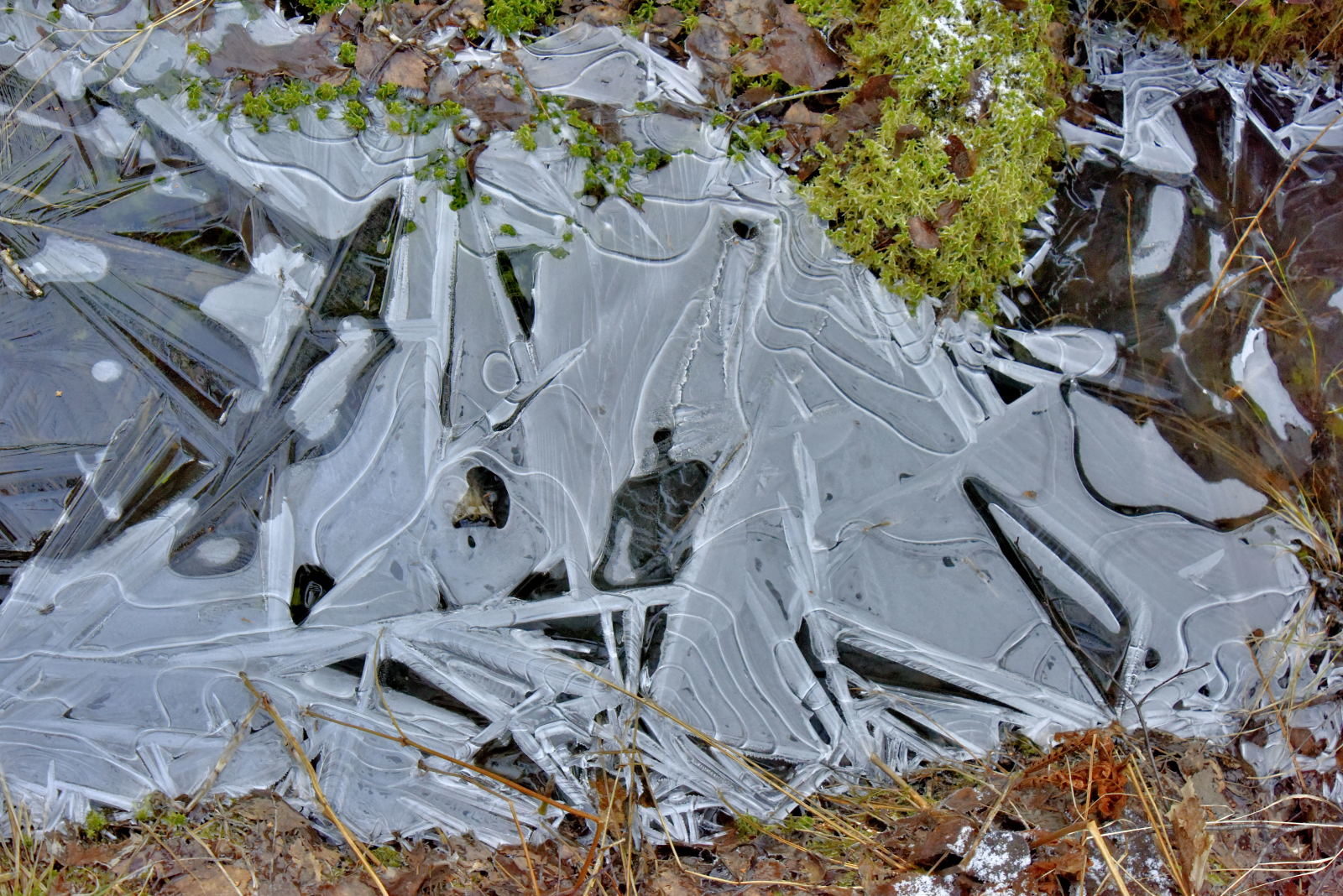 Valokuvaaja: Reijo Juurinen