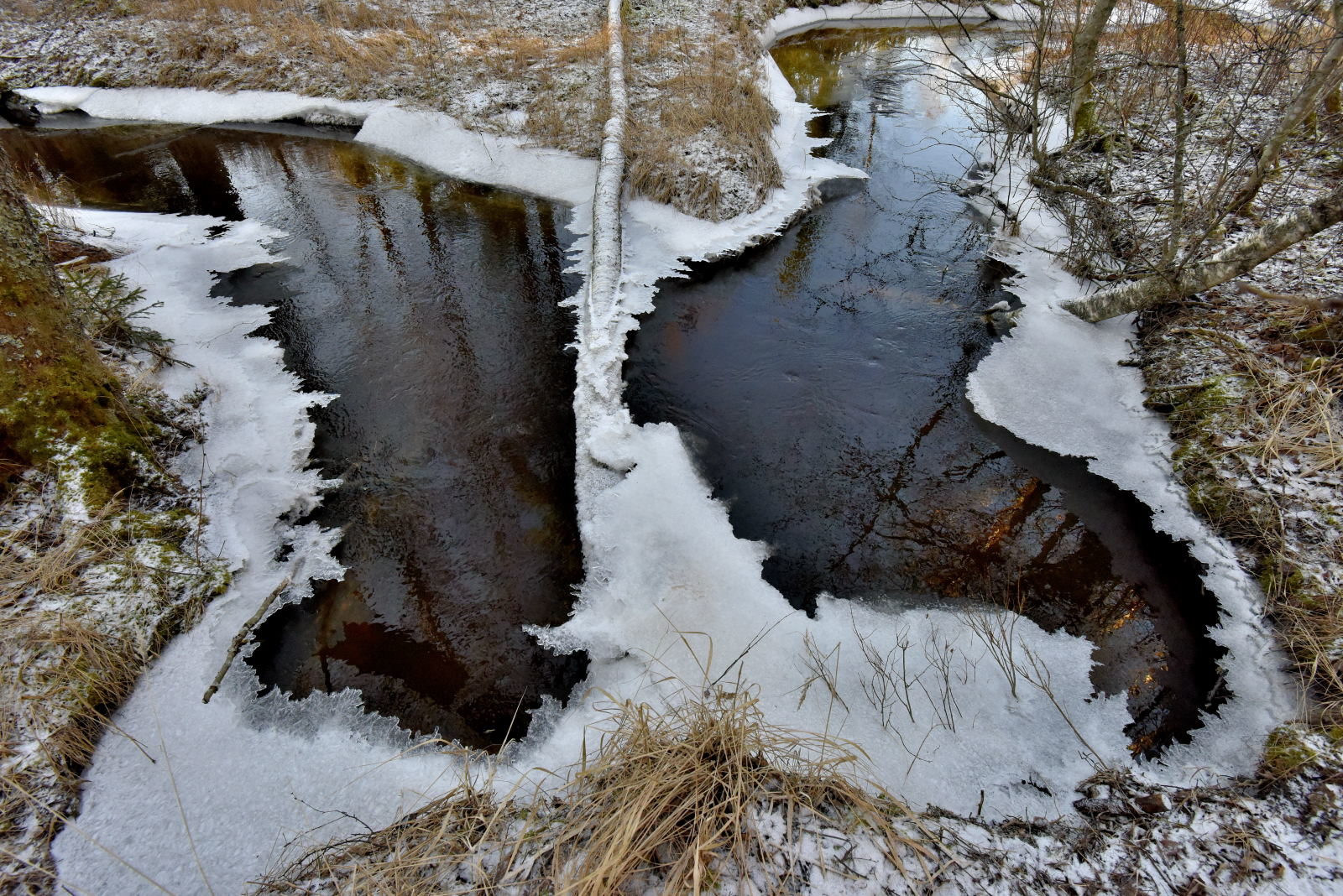 Valokuvaaja: Reijo Juurinen