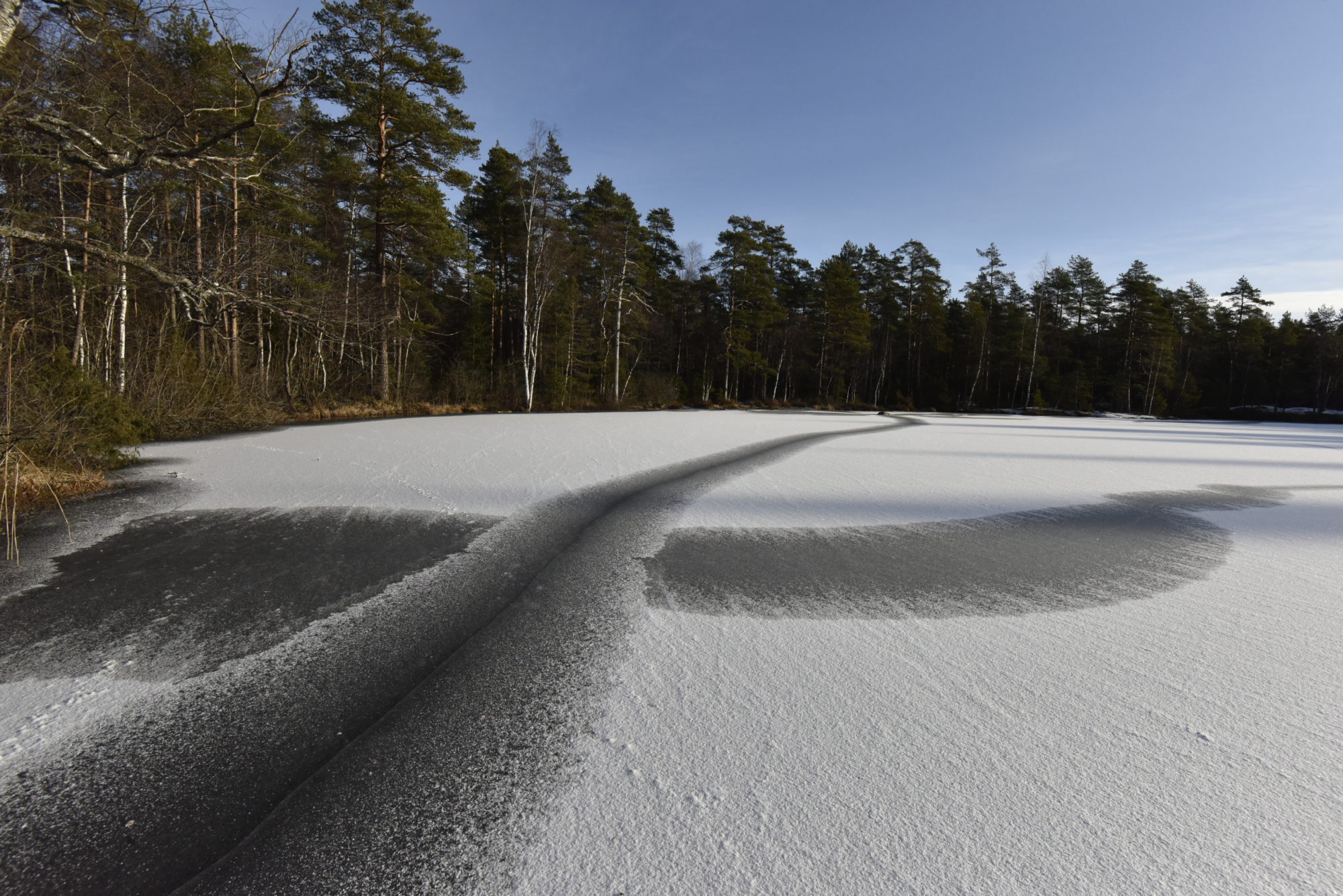 Valokuvaaja: Reijo Juurinen Valokuvaaja: Reijo Juurinen