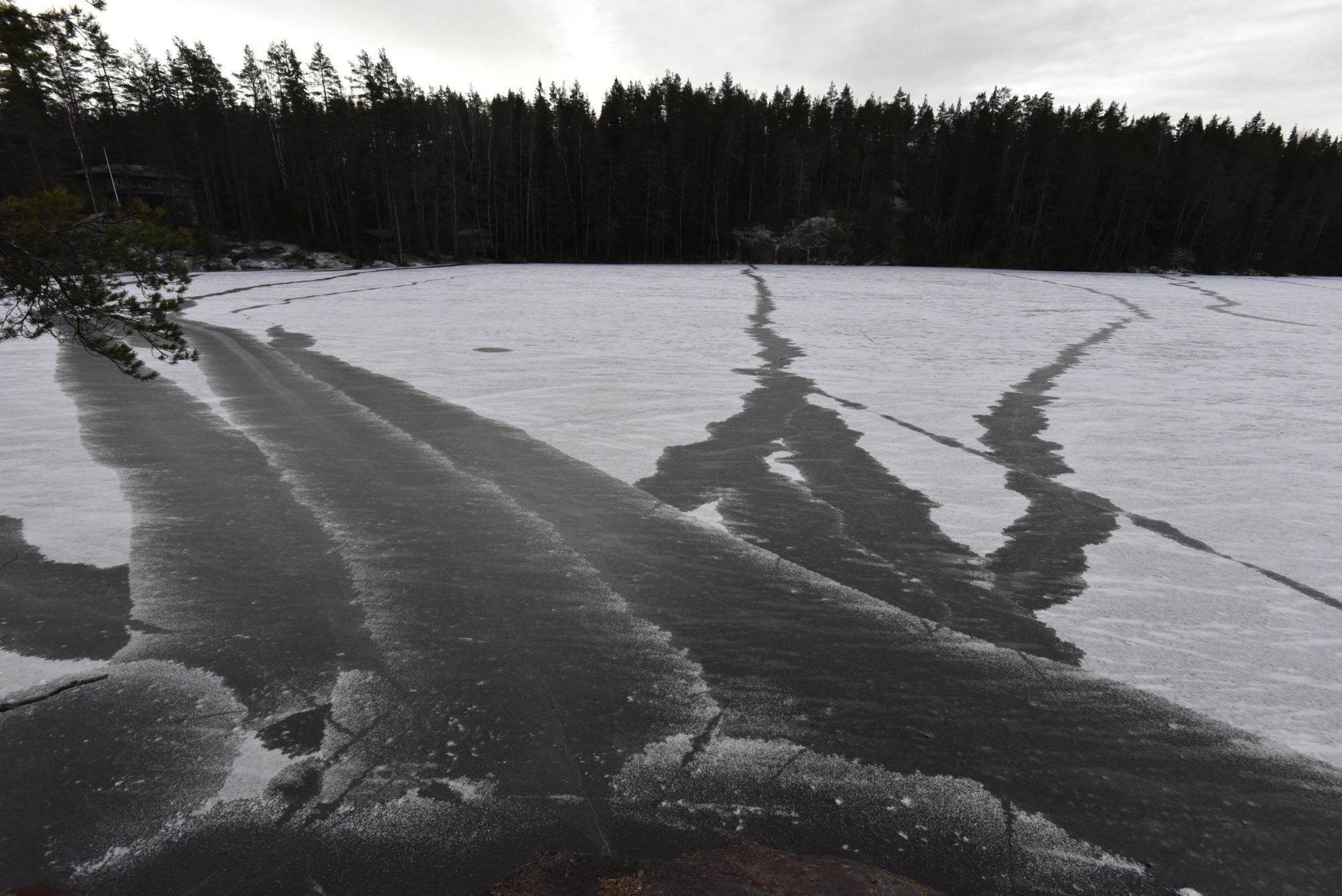 Valokuvaaja: Reijo Juurinen
