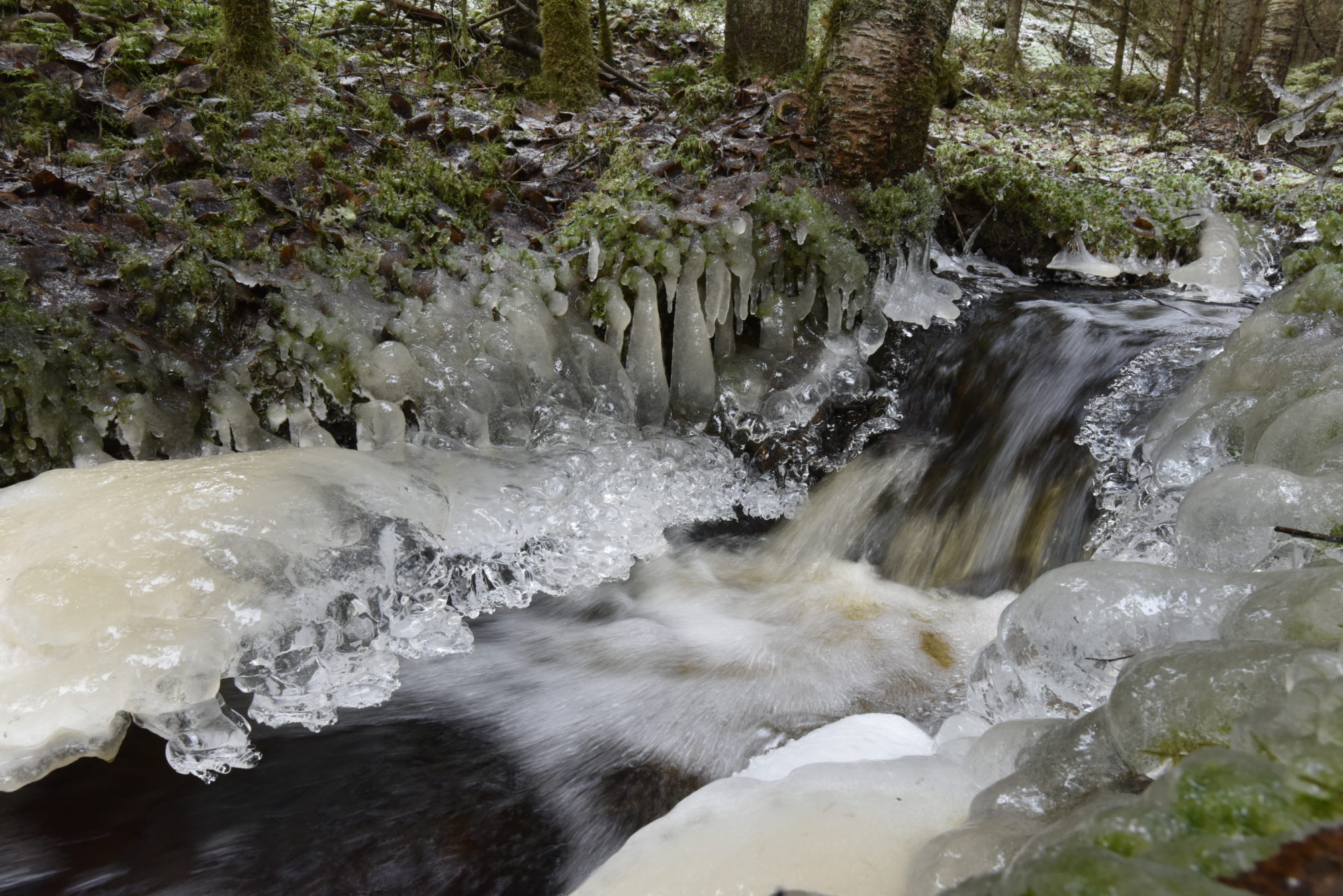 Valokuvaaja: Reijo Juurinen