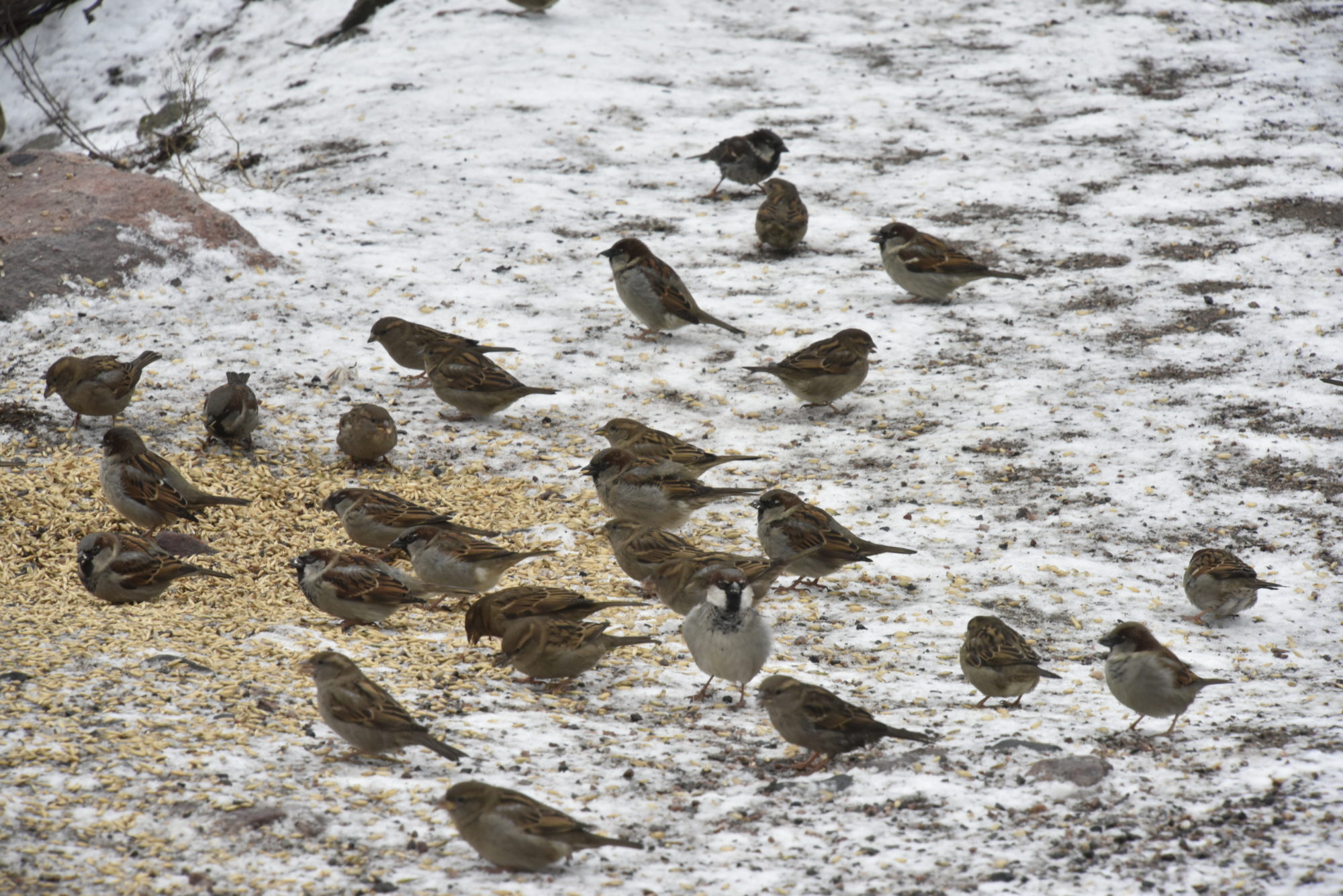 Valokuvaaja: Reijo Juurinen