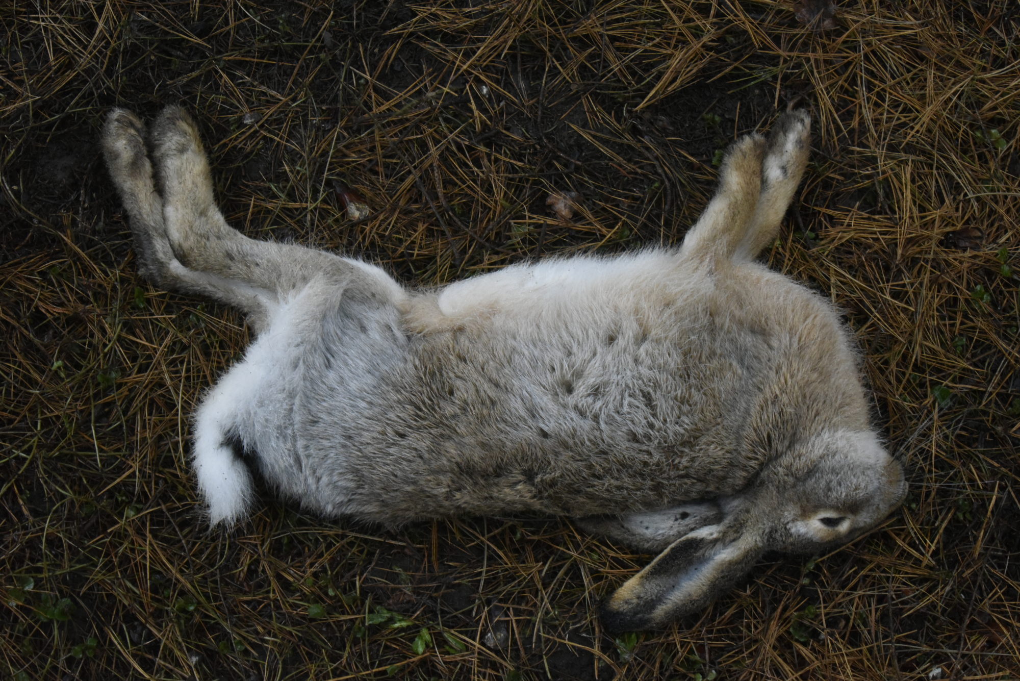 Valokuvaaja: Reijo Juurinen