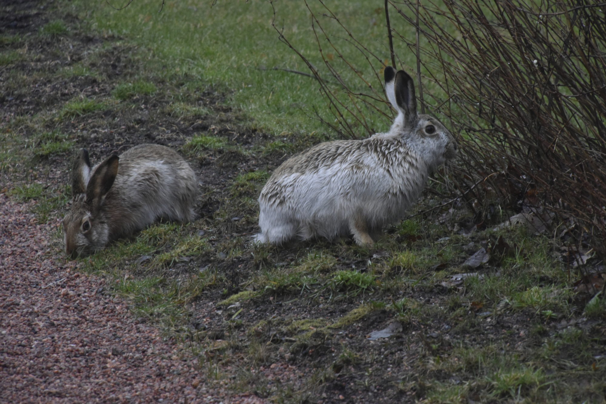 Valokuvaaja: Reijo Juurinen