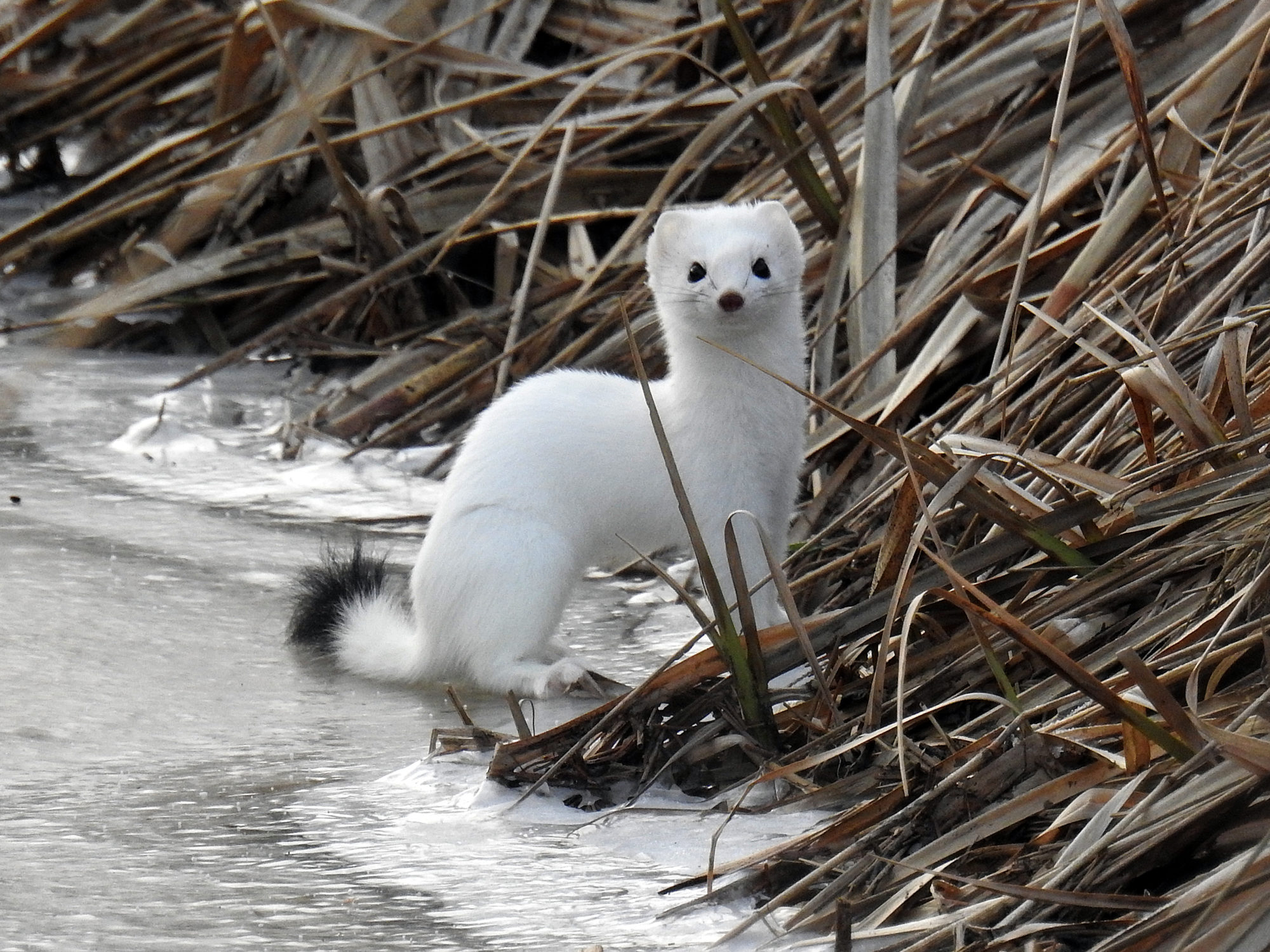 Valokuvaaja: Paavo Siukonen