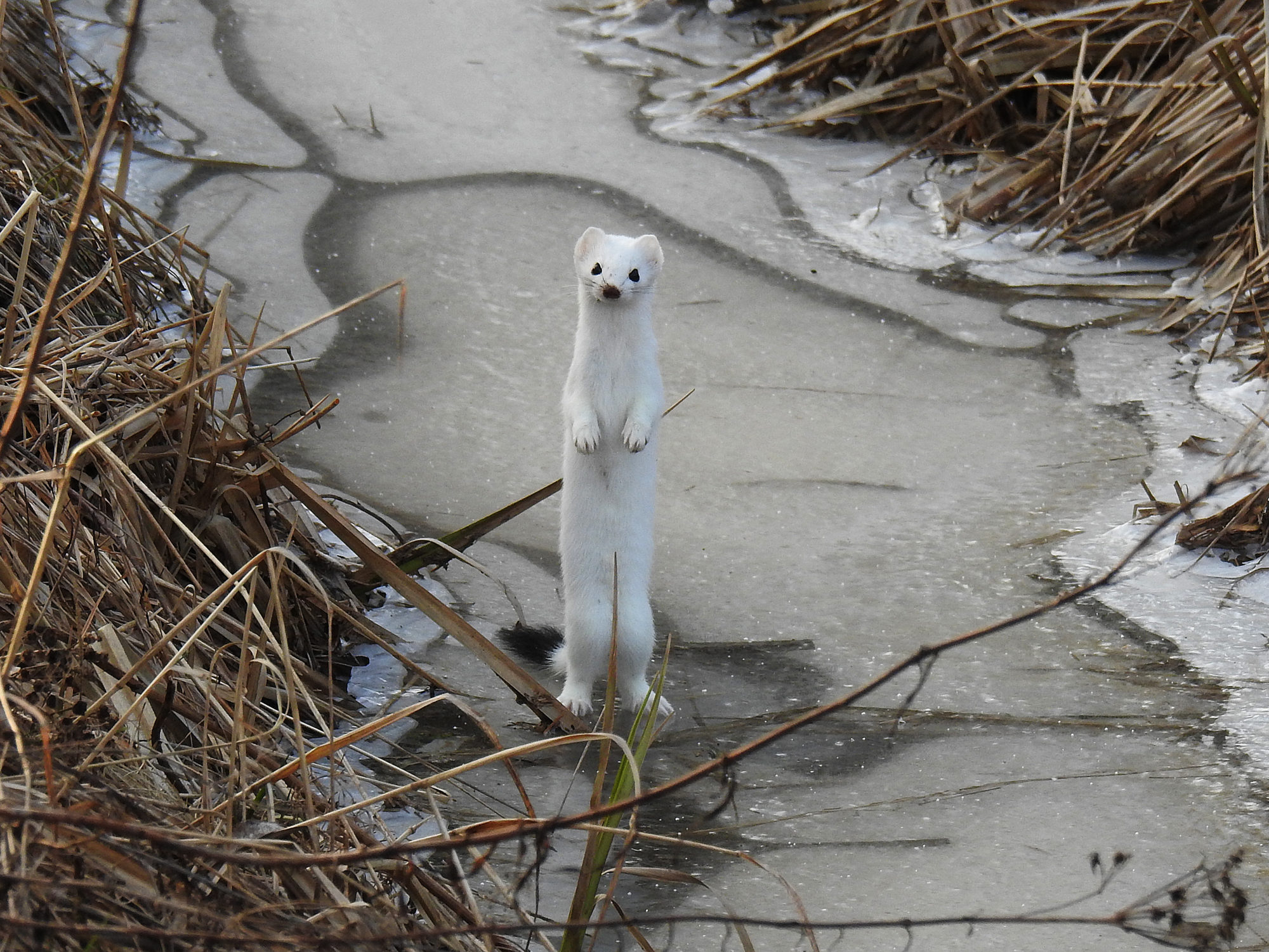 Valokuvaaja: Paavo Siukonen