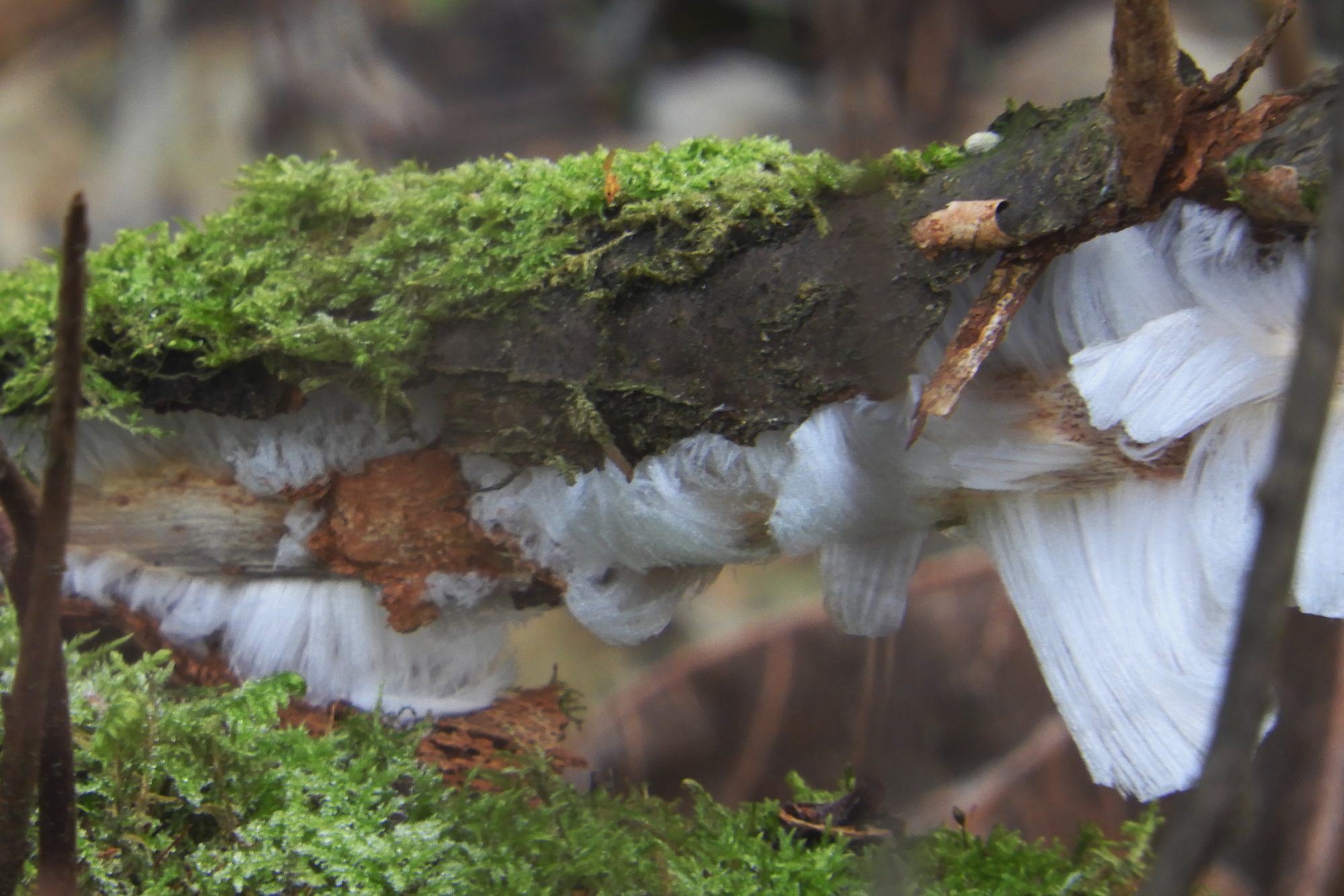 Valokuvaaja: Sirkka Perttu