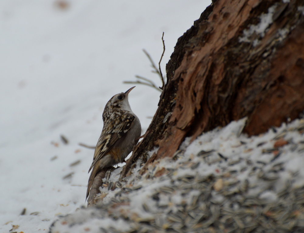 Valokuvaaja: Elisabet Varonen