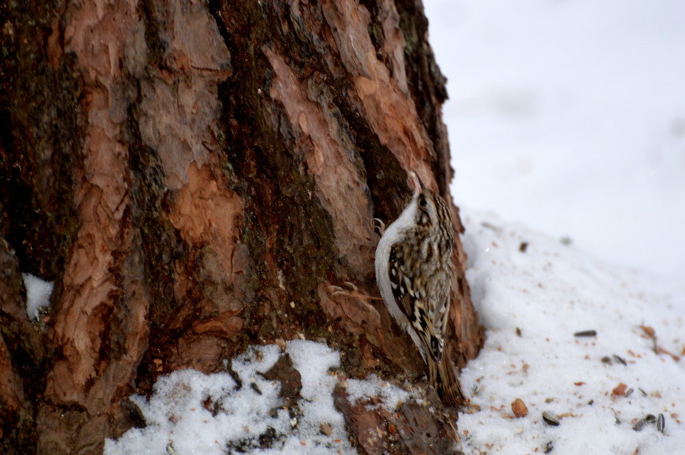 Valokuvaaja: Elisabet Varonen