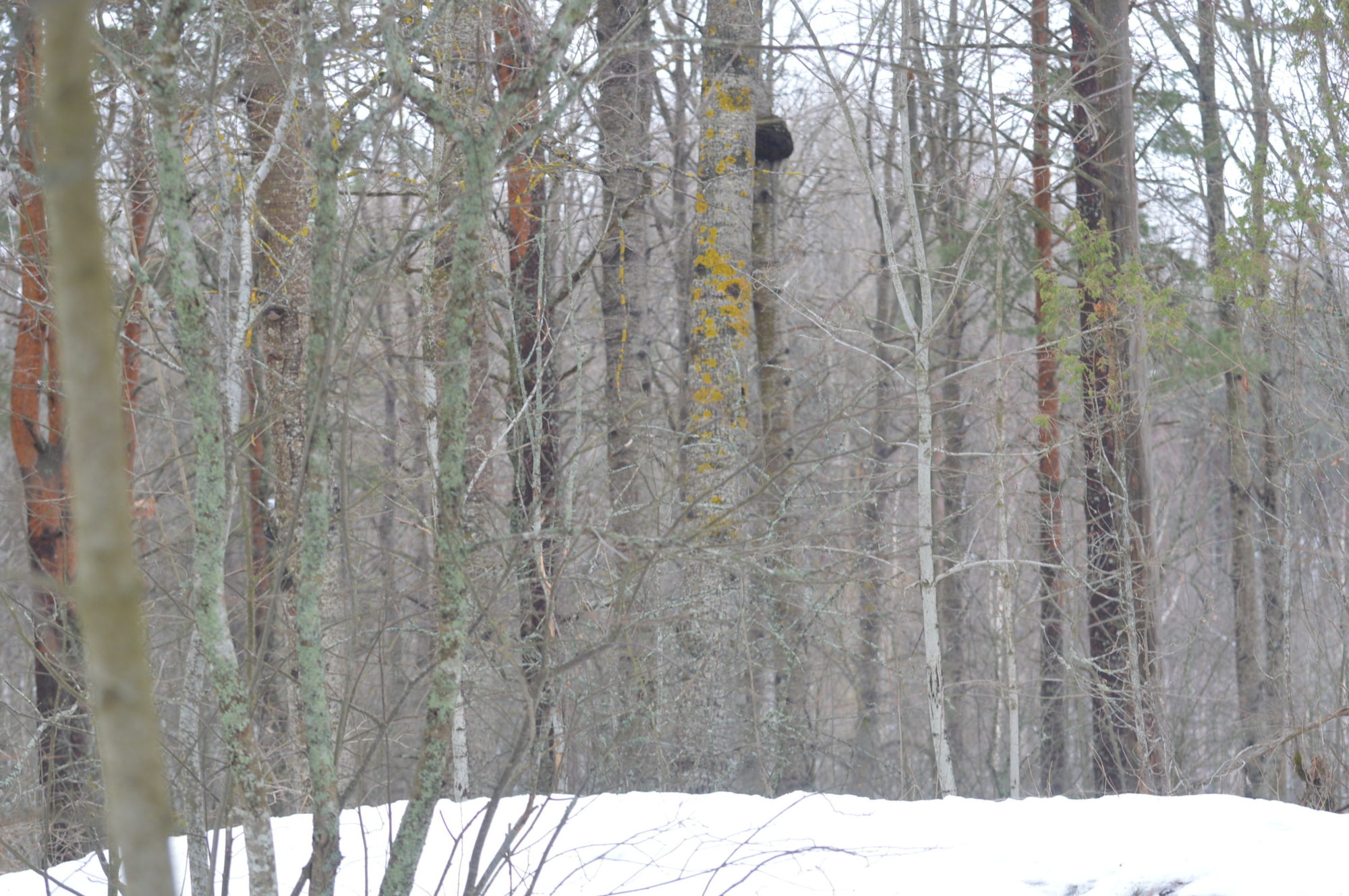 Valokuvaaja: Elisabet Varonen