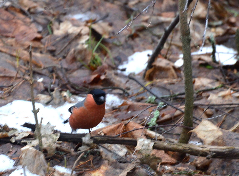 Valokuvaaja: Elisabet Varonen