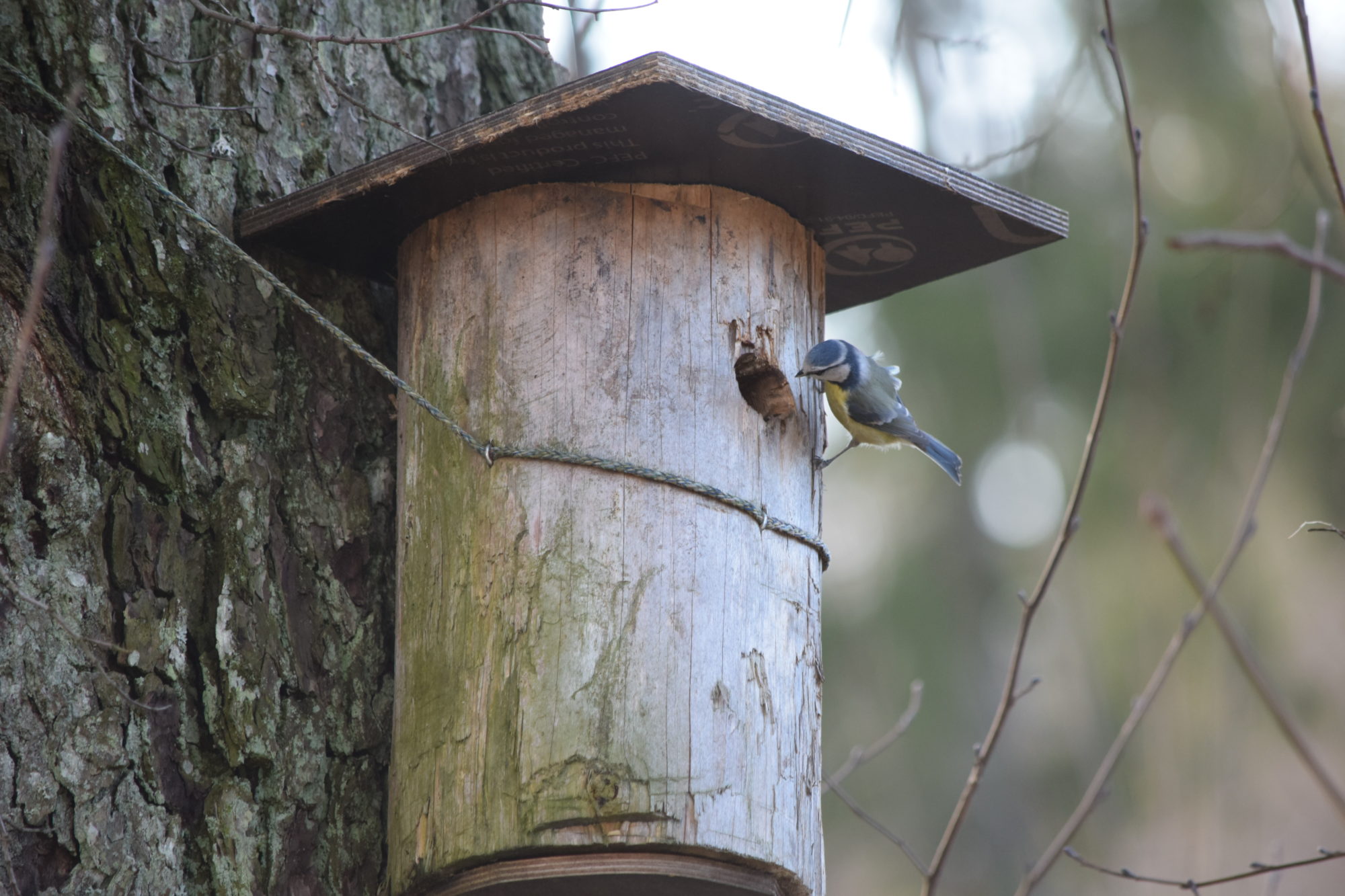 Valokuvaaja: Riitta Marjamäki Valokuvaaja: Riitta Marjamäki