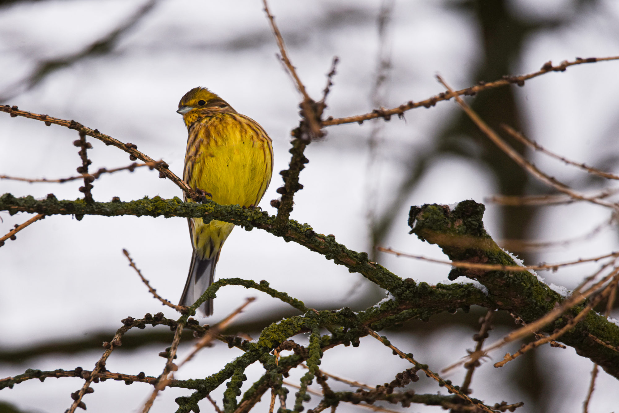 Valokuvaaja: Maija Savolainen