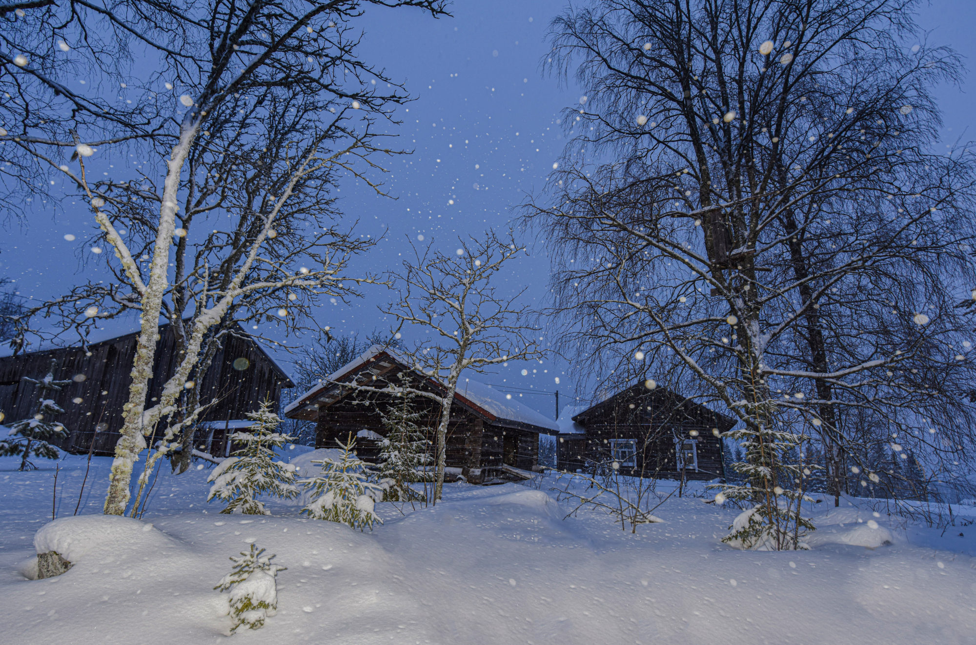 Valokuvaaja: Maija Savolainen