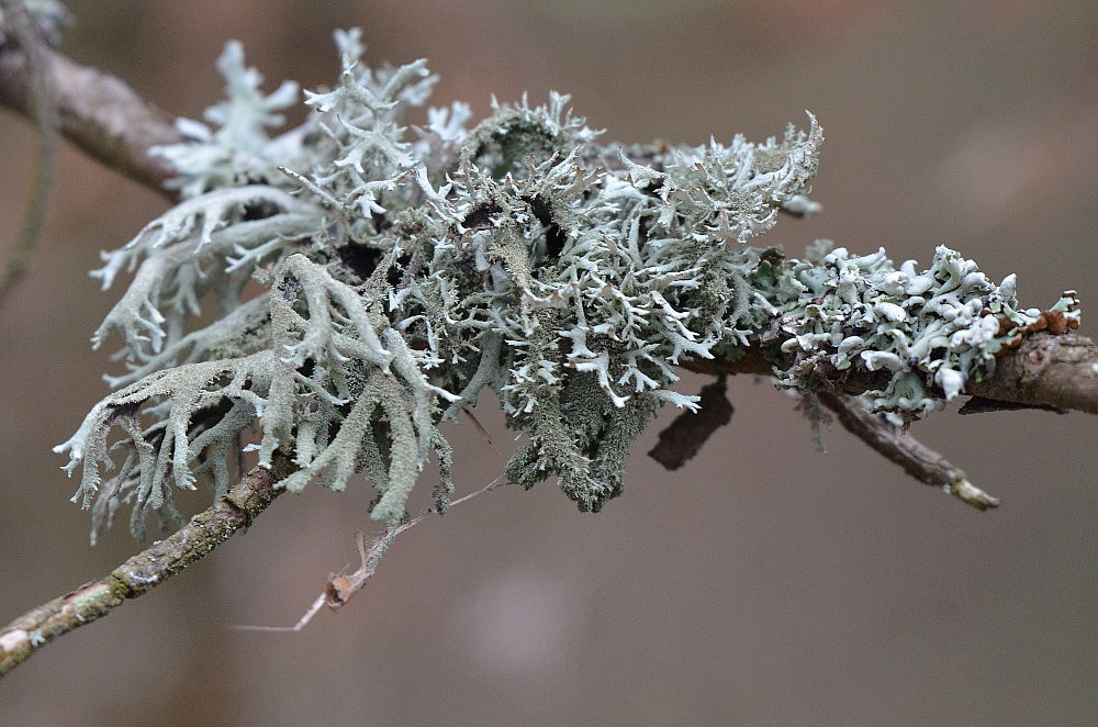 Valokuvaaja: Jouko Varonen