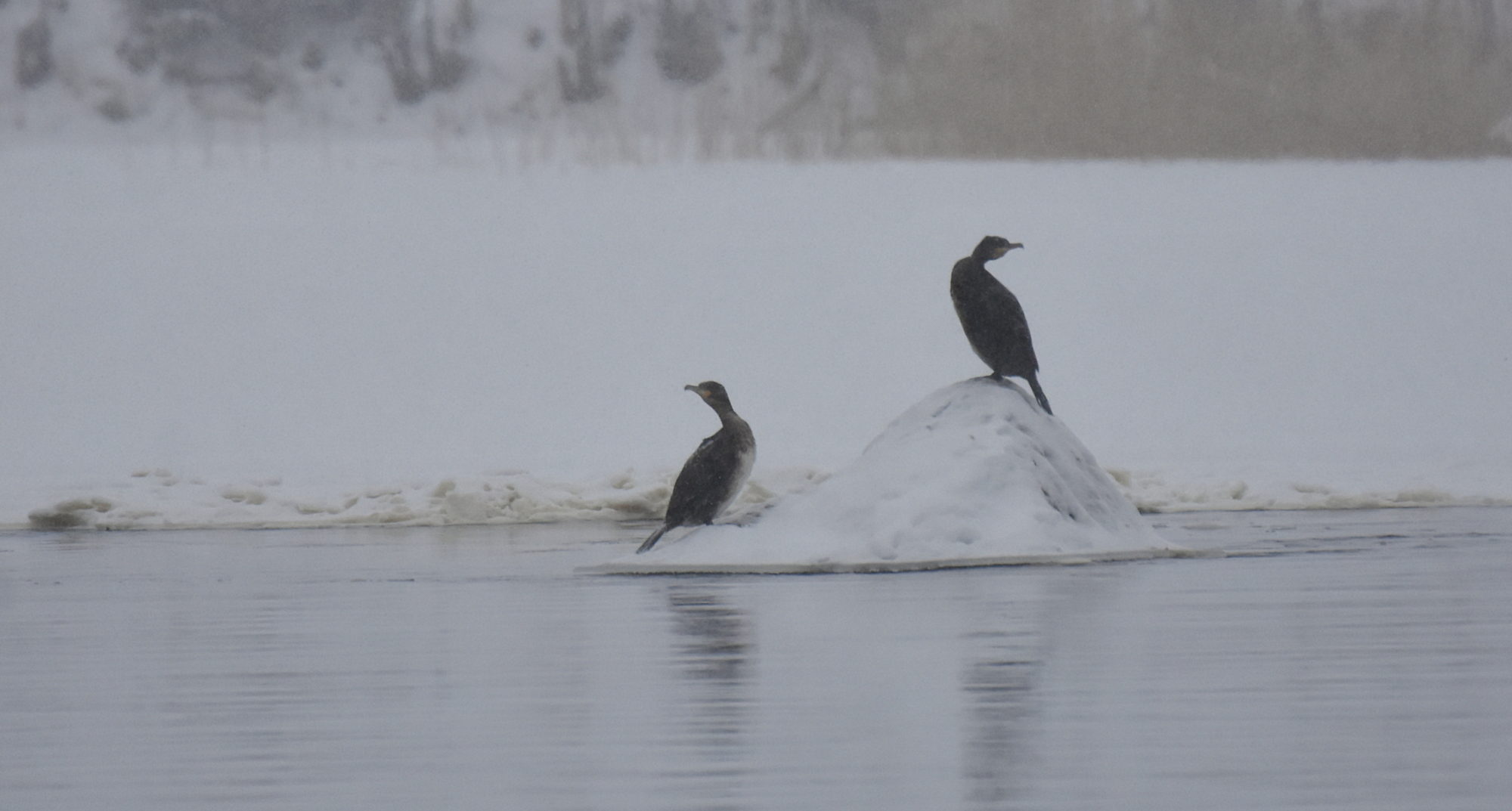Valokuvaaja: Marita Vokkolainen