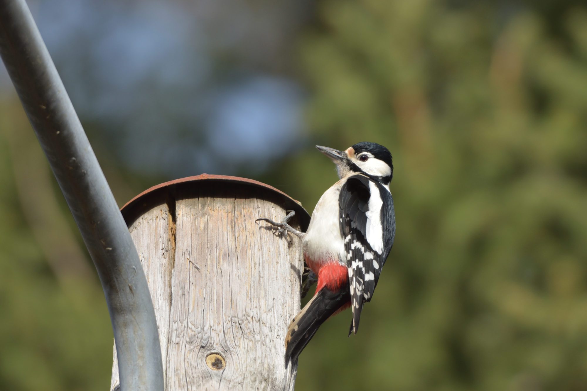 Valokuvaaja: Asko Heikkinen