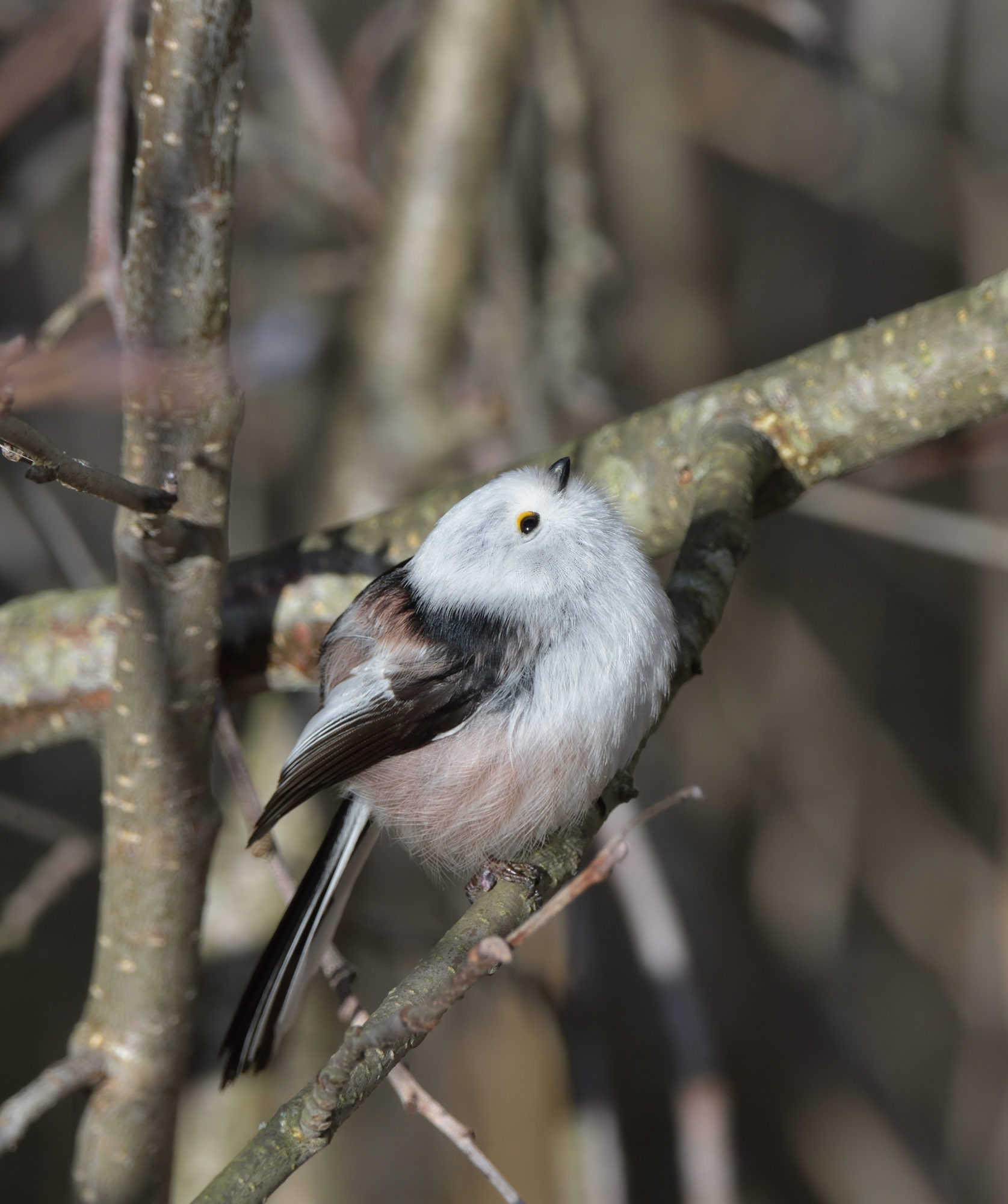 Valokuvaaja: Asko Heikkinen Valokuvaaja: Asko Heikkinen